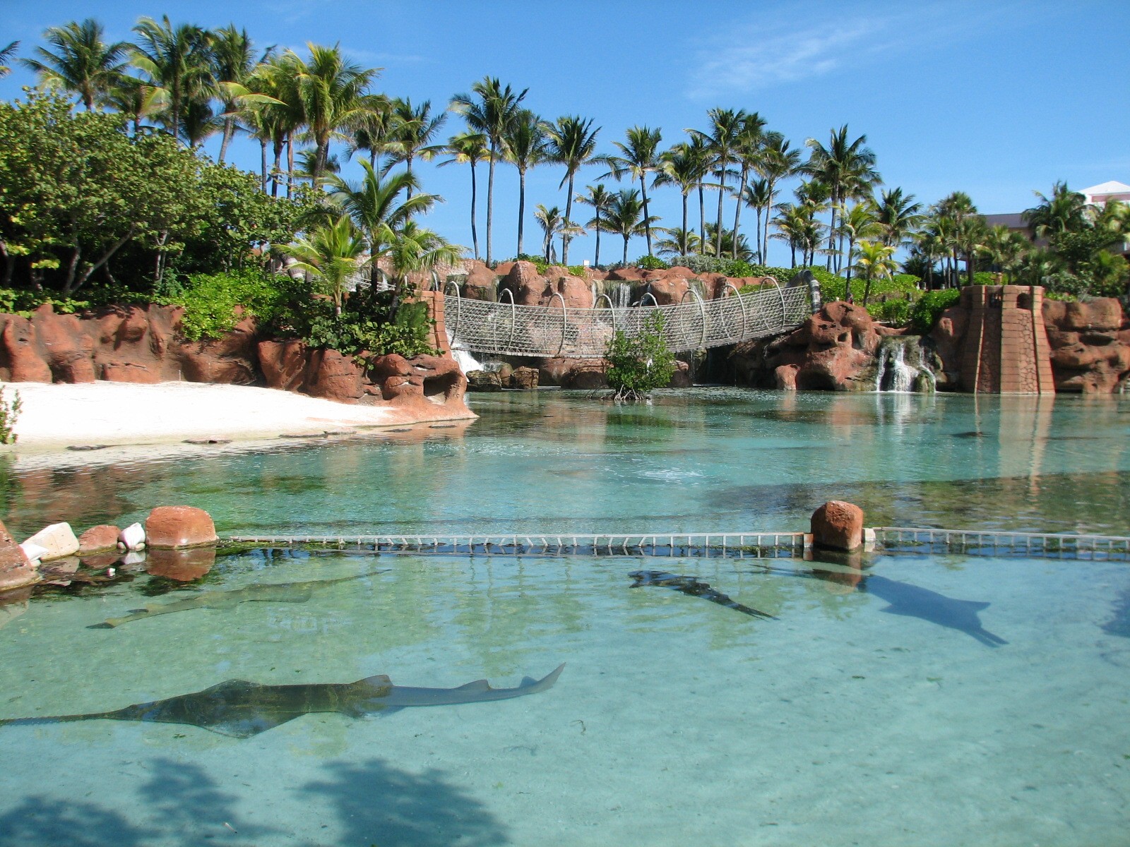 Predator Lagoon - Top View