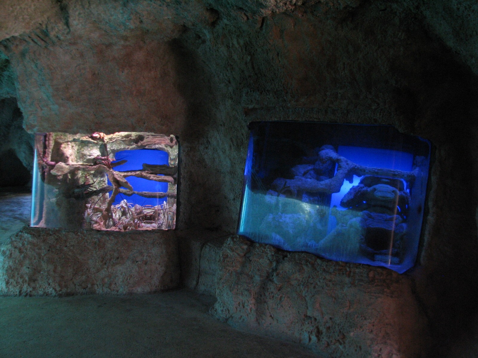 Predator Lagoon - Two Small Exhibits