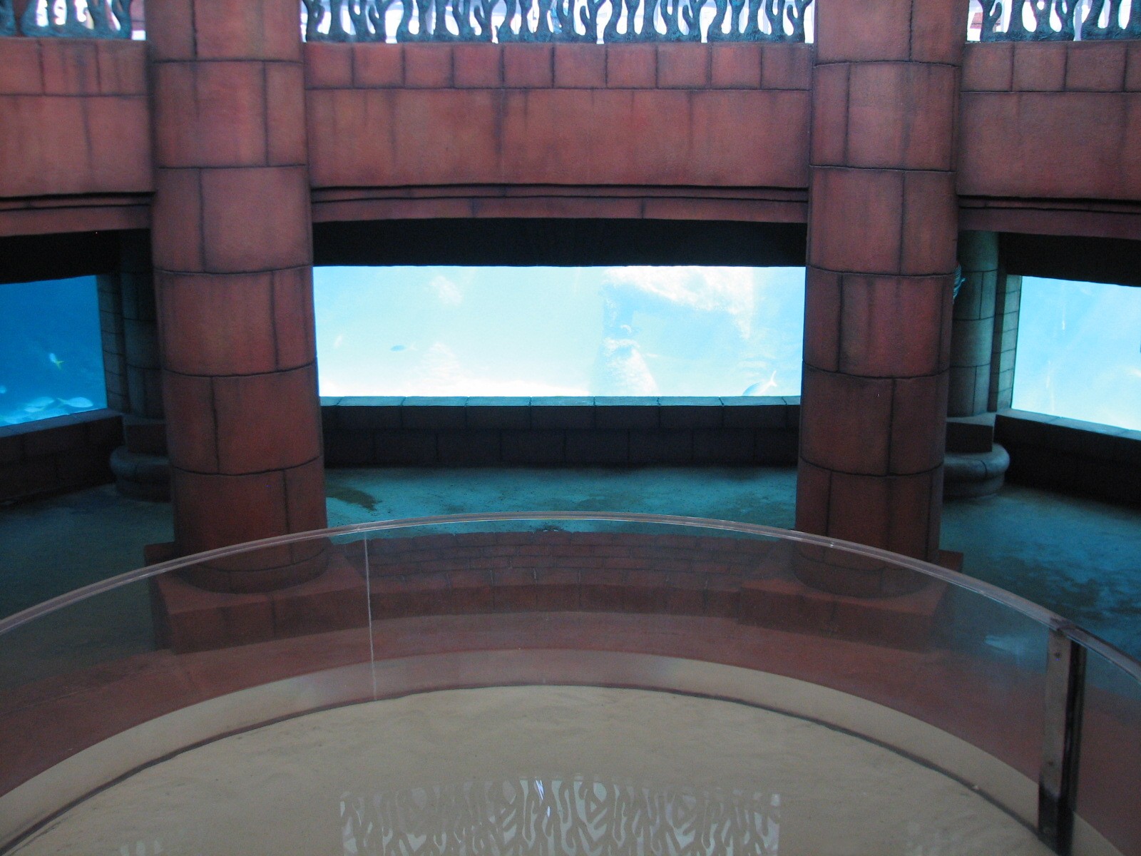 Predator Lagoon - Underwater Viewing Area