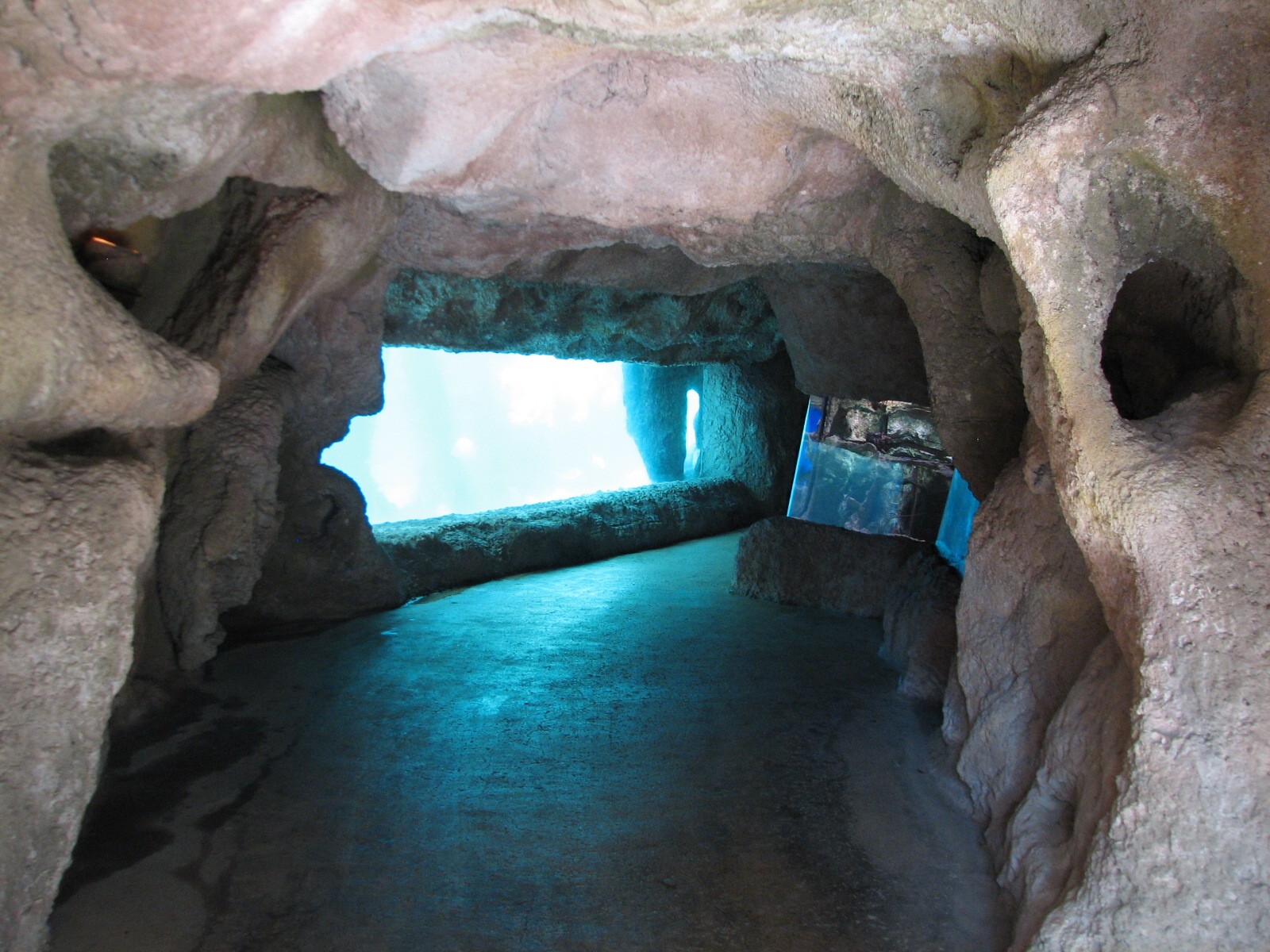 Predator Lagoon -  Underwater Viewing Area