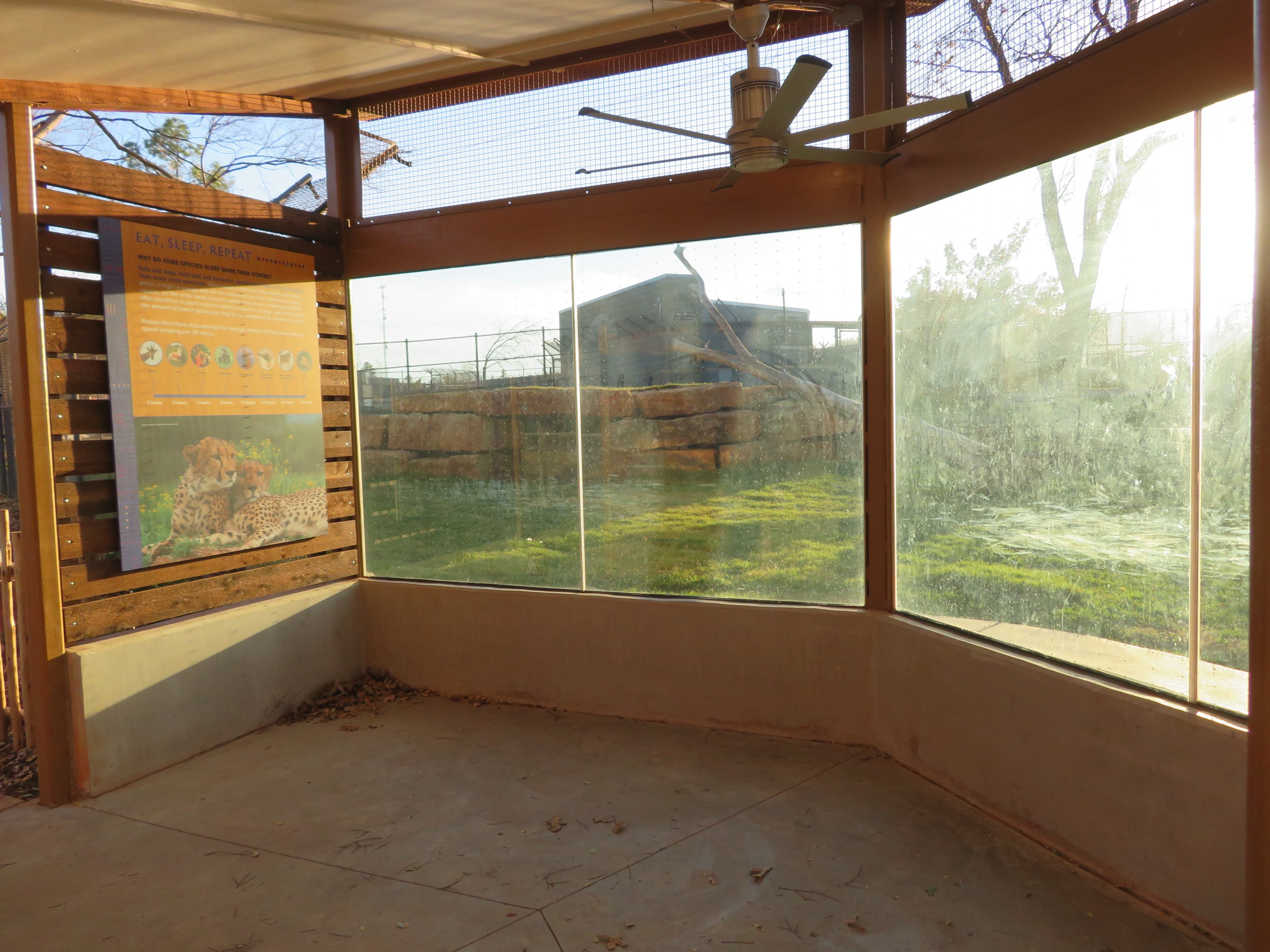 Predator Pass - Cheetah Exhibit