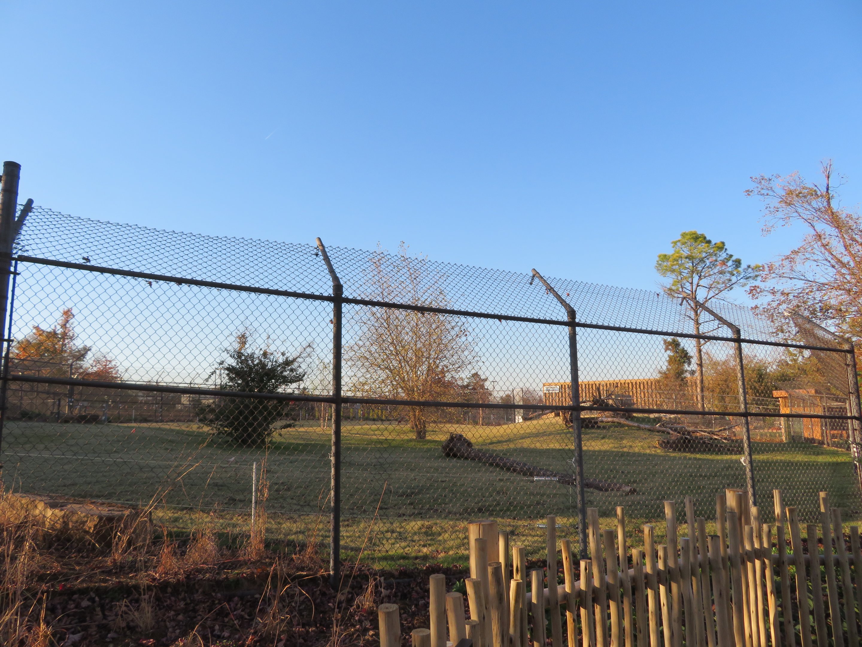Predator Pass - Painted Dog Exhibit