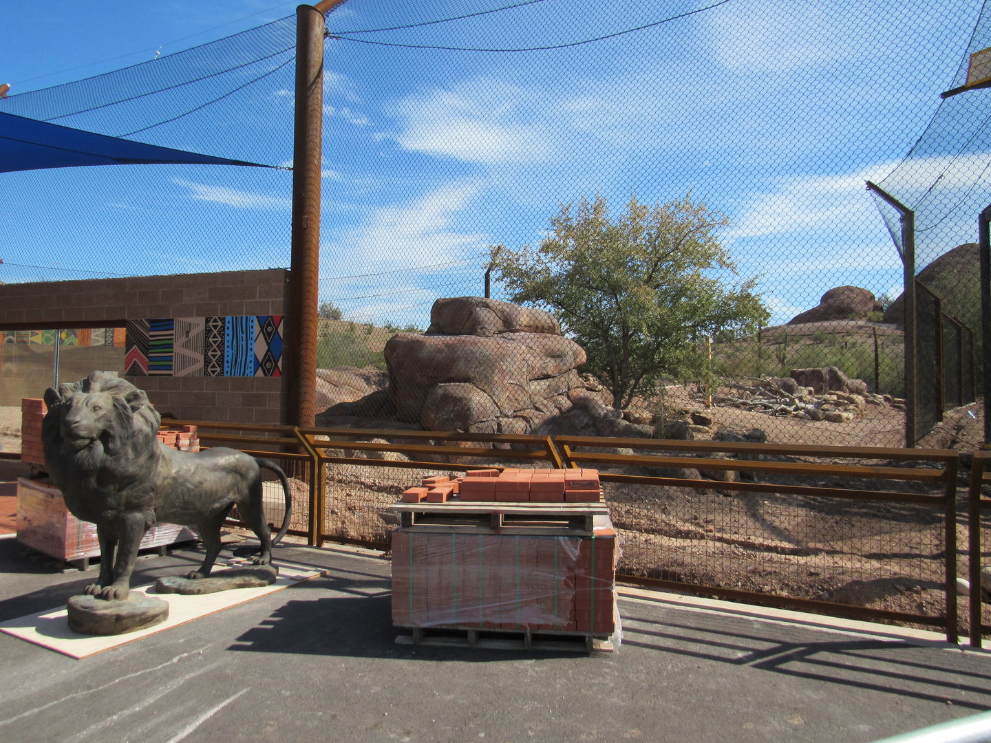 Predator Passage Construction, African Lion Exhibit - 3/7/23