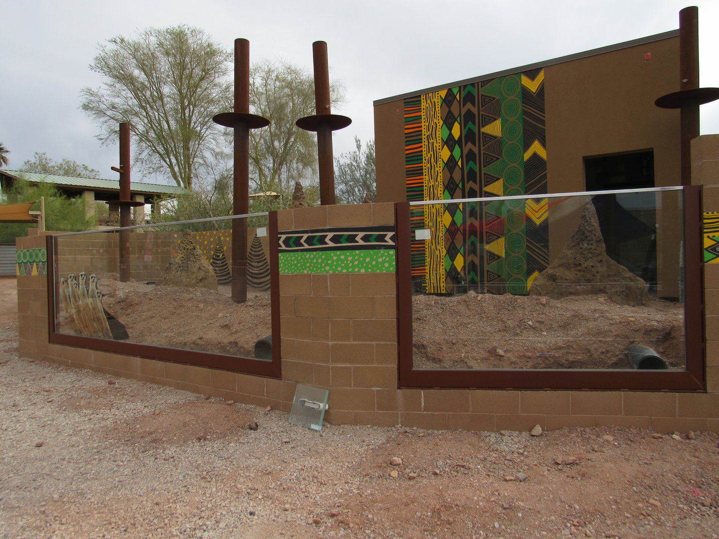 Predator Passage Construction, Meerkat Exhibit - 3/7/23