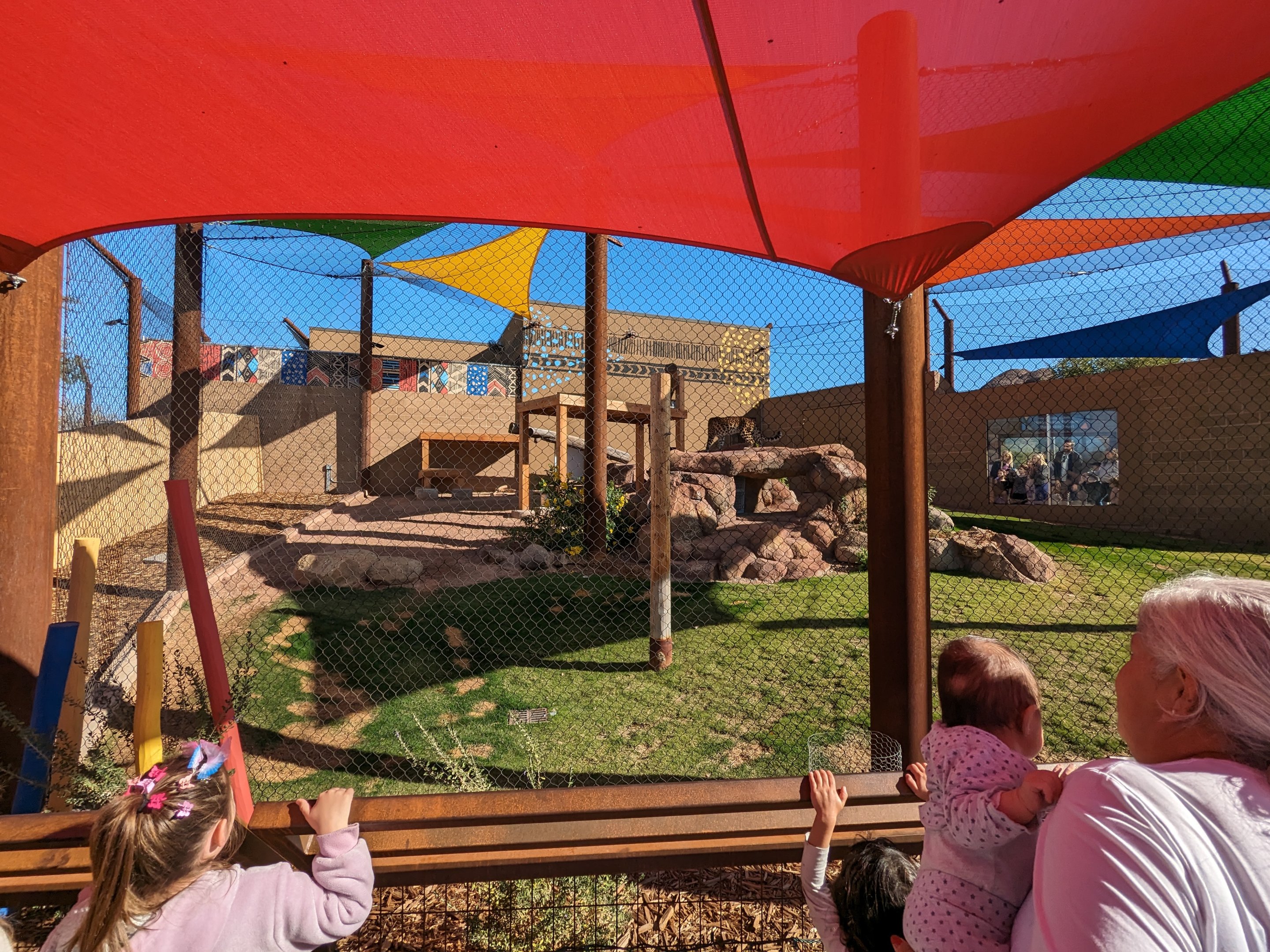 Predator Passage - Leopard