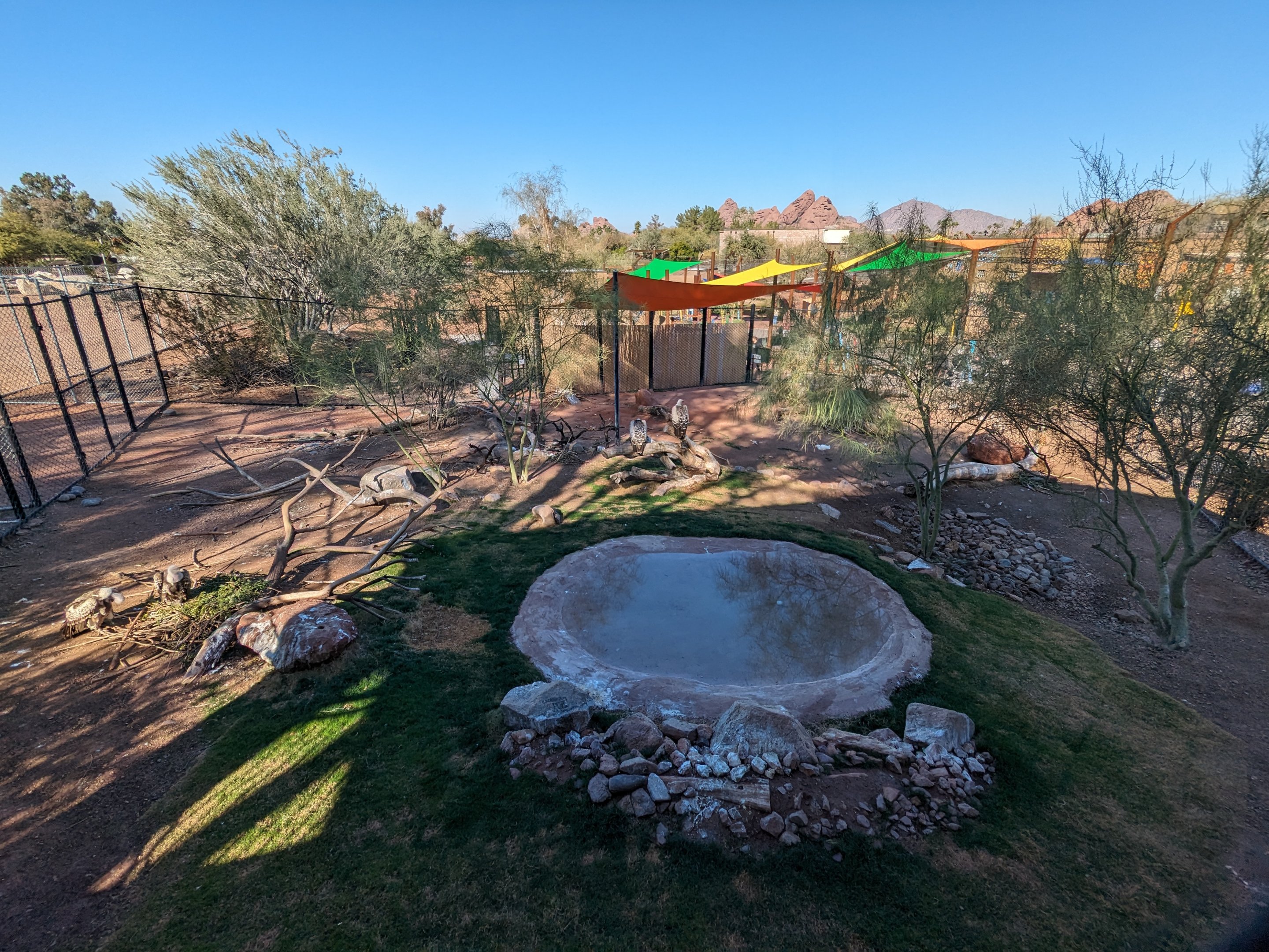 Predator Passage - Vultures