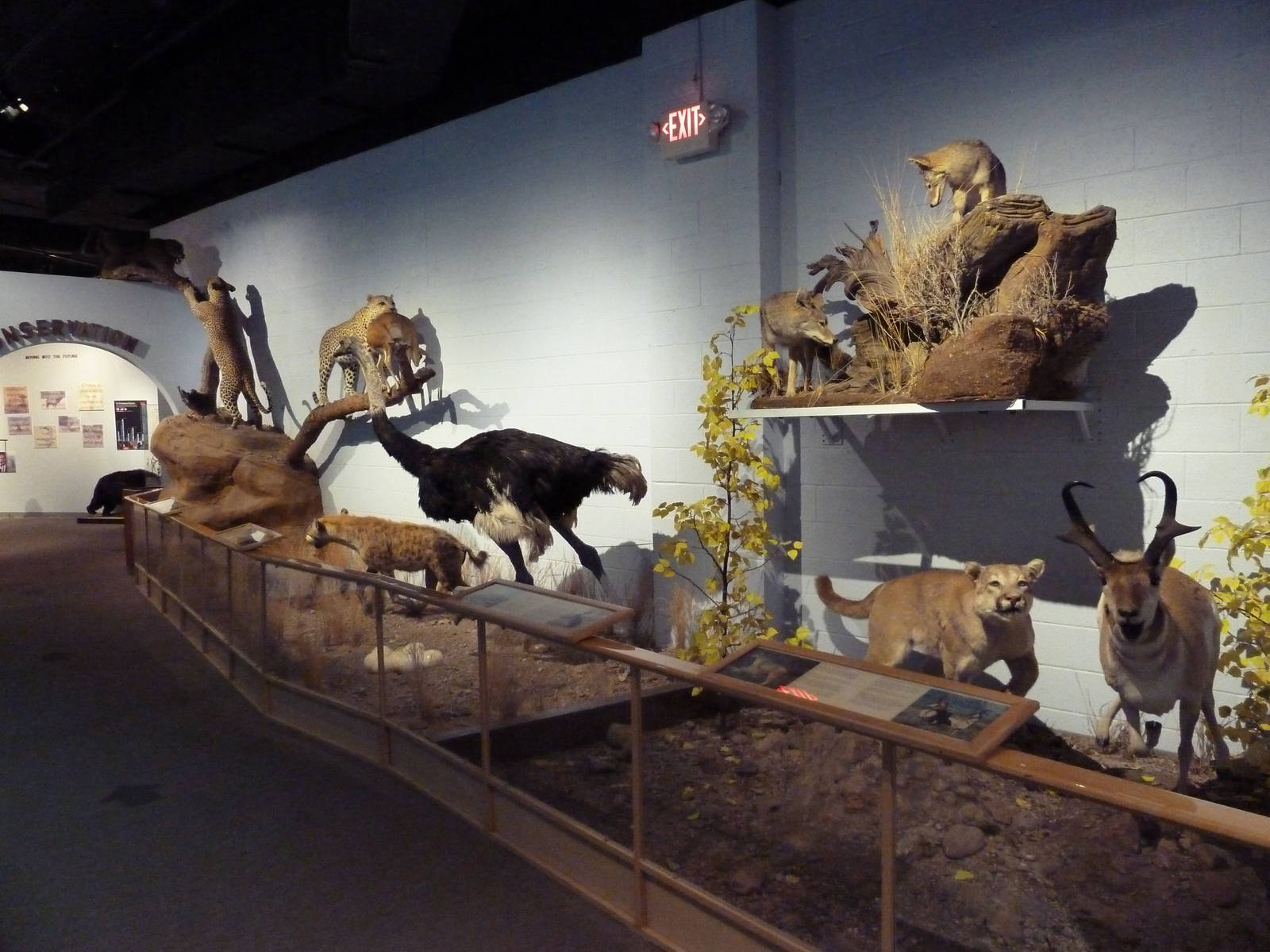 Predator + Prey Hall