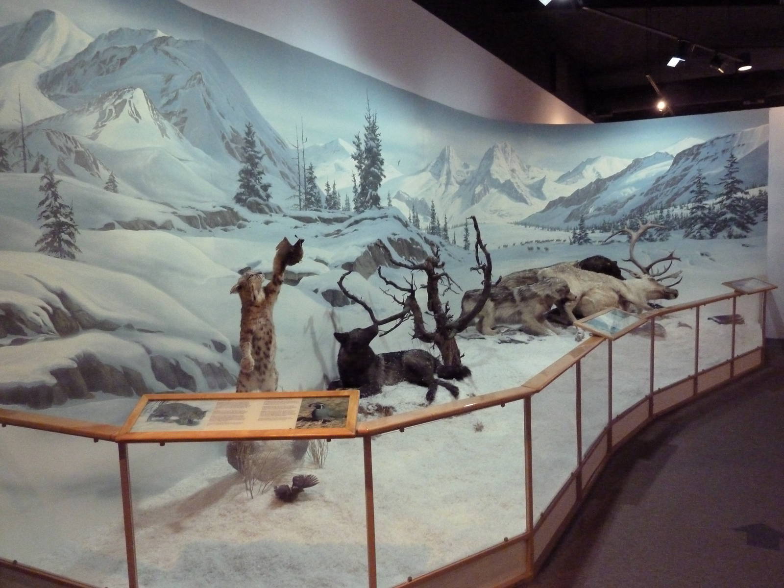 Predator + Prey Hall