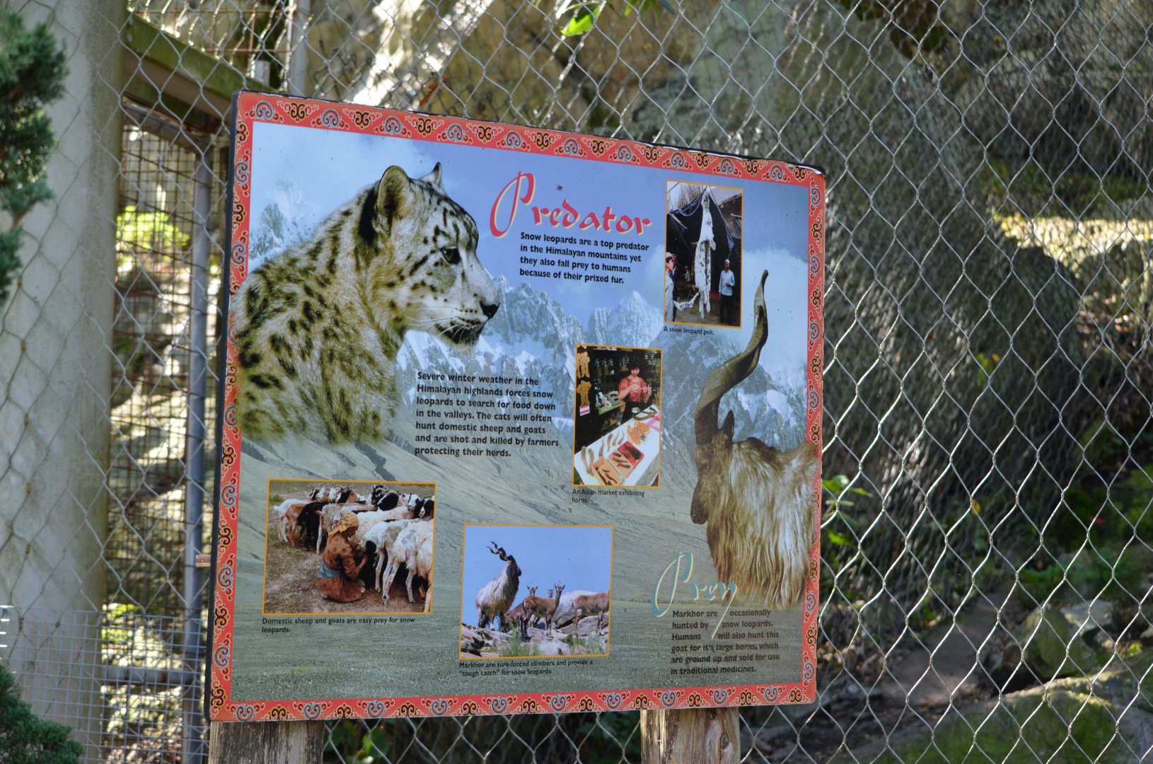 Predator Prey Sign