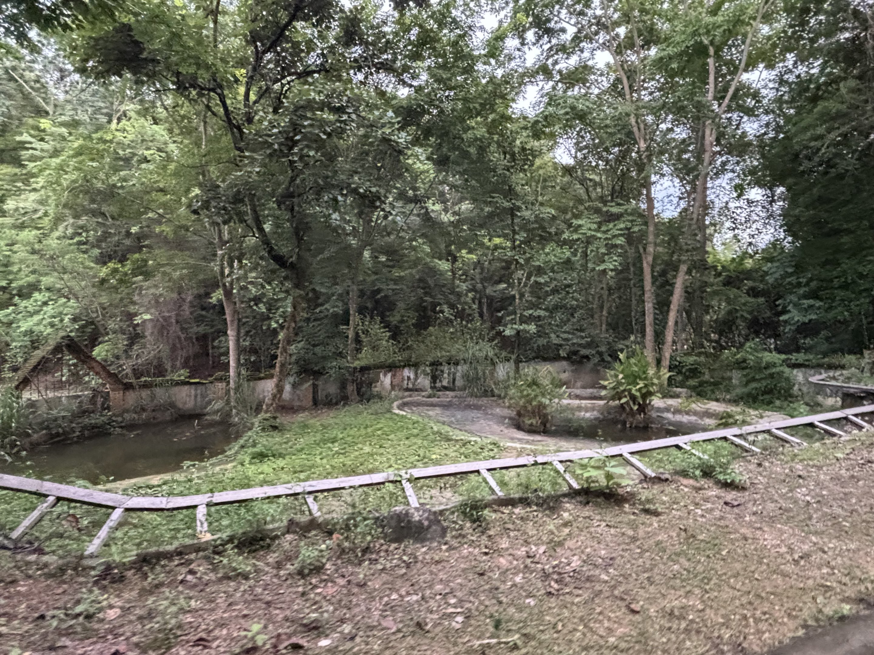 Predator Prowl Safari - Siamese Crocodile Exhibit