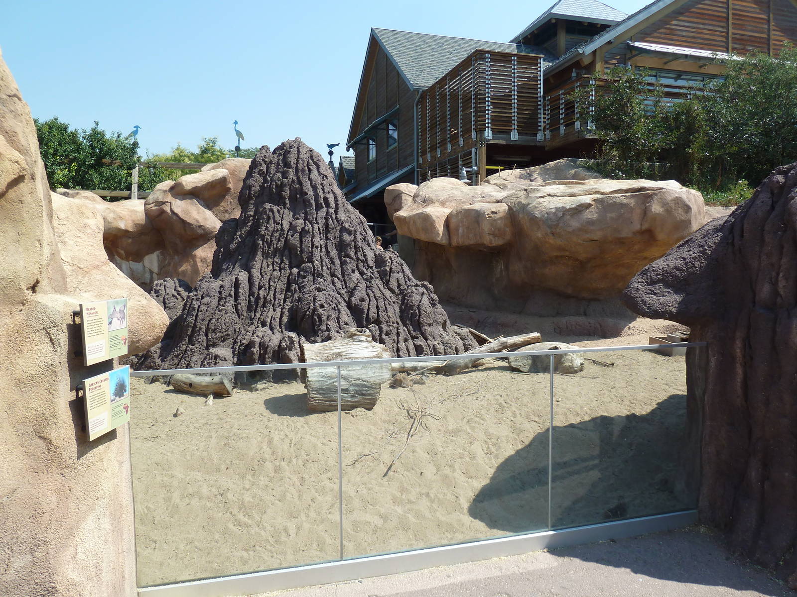 Predator Ridge - Banded Mongoose/African Crested Porcupine Exhibit