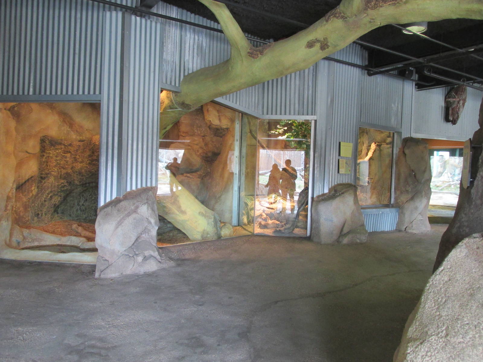 Predator Ridge - Inside Viewing