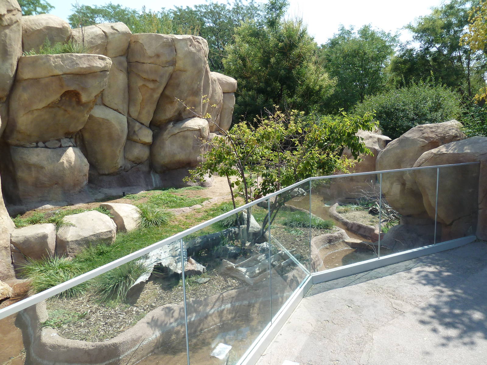 Predator Ridge - Kirk's Dik-Dik/Crowned Crane Exhibit