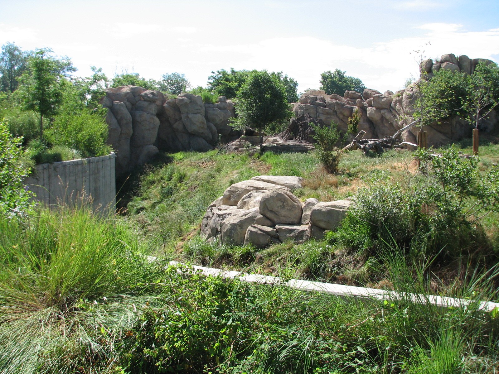 Predator Ridge - Lion Exhibit