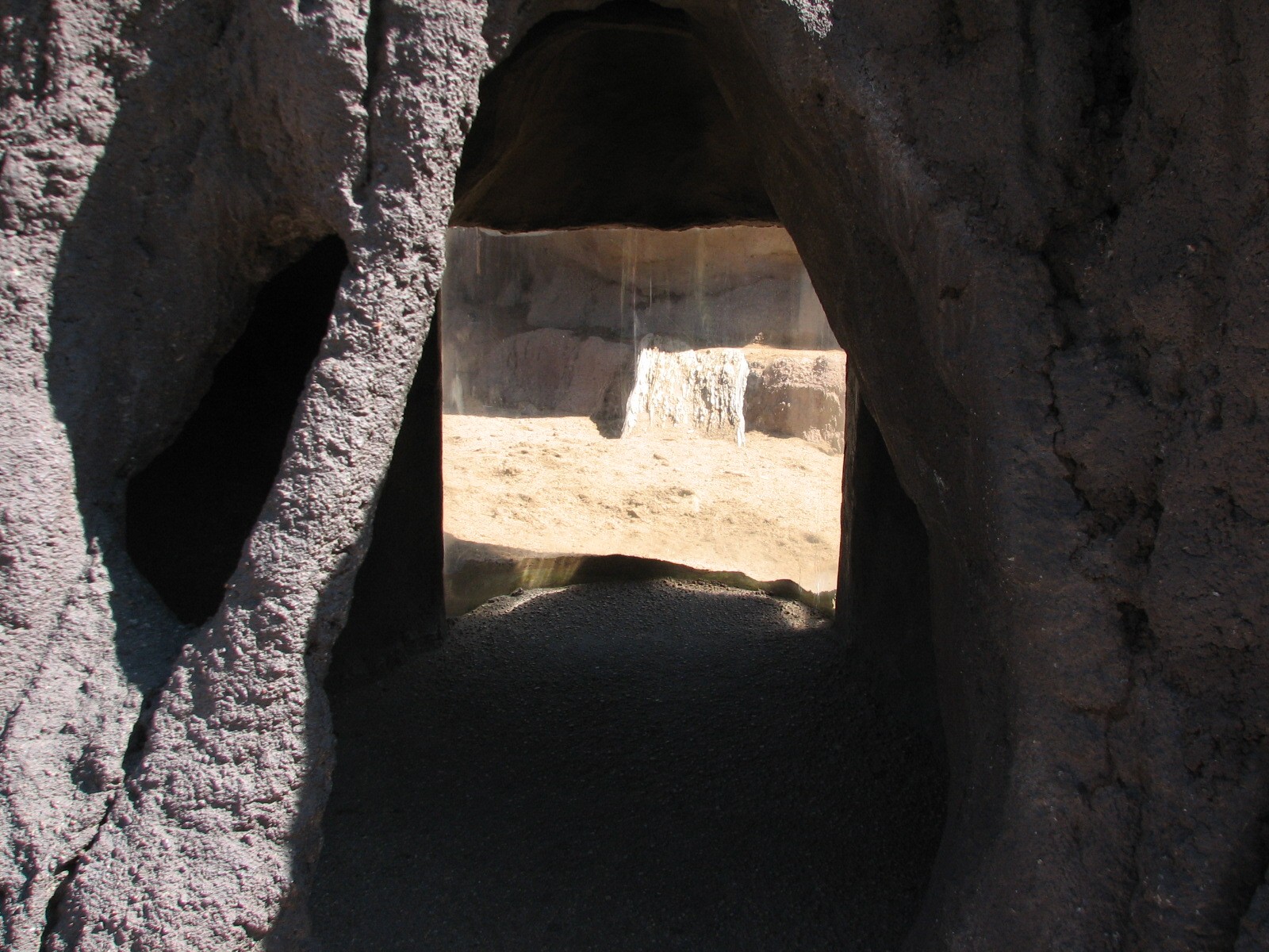 Predator Ridge - Mongoose Exhibit