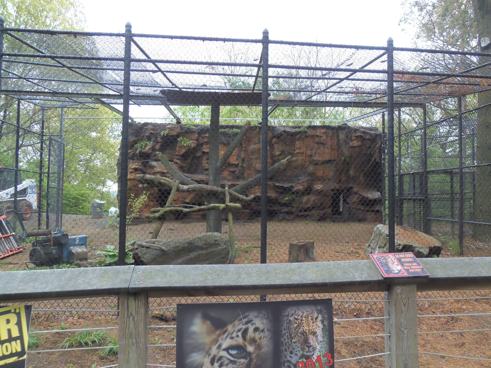 Predators- Amur Leopard Exhibit Construction