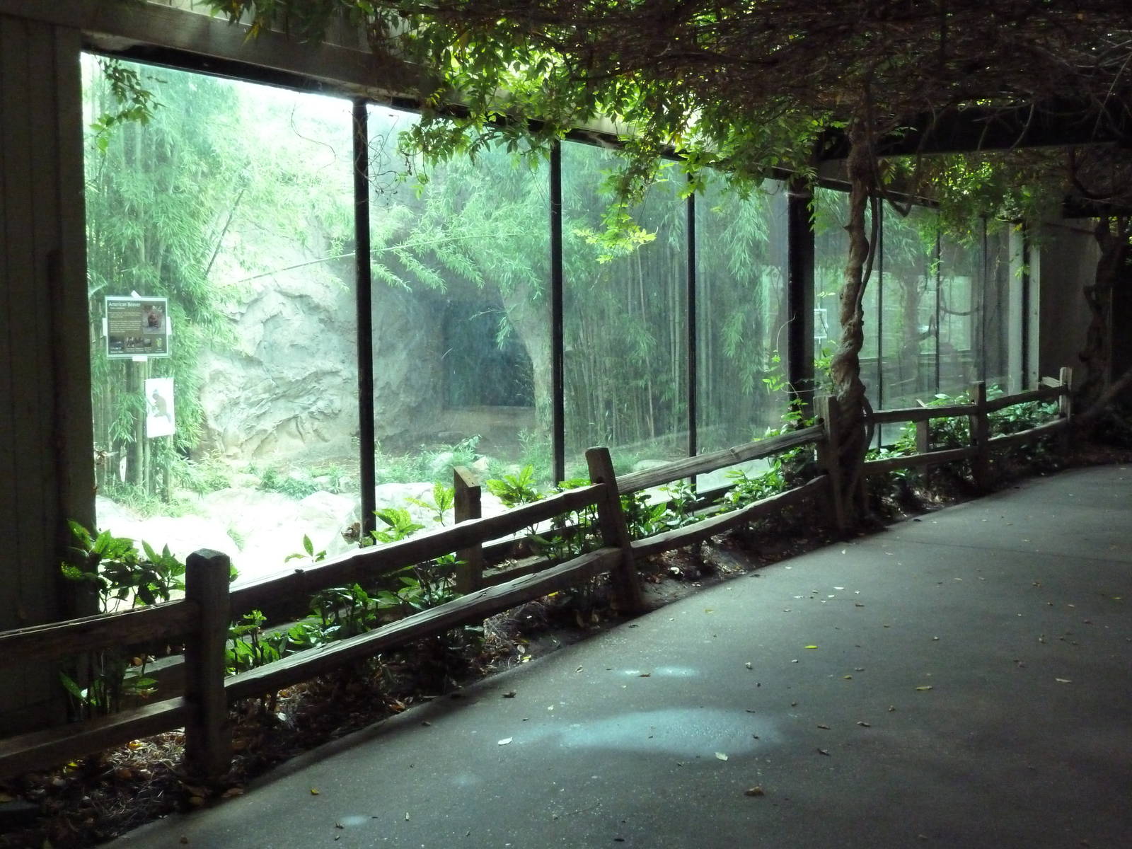 Predators Building - Beaver Exhibit