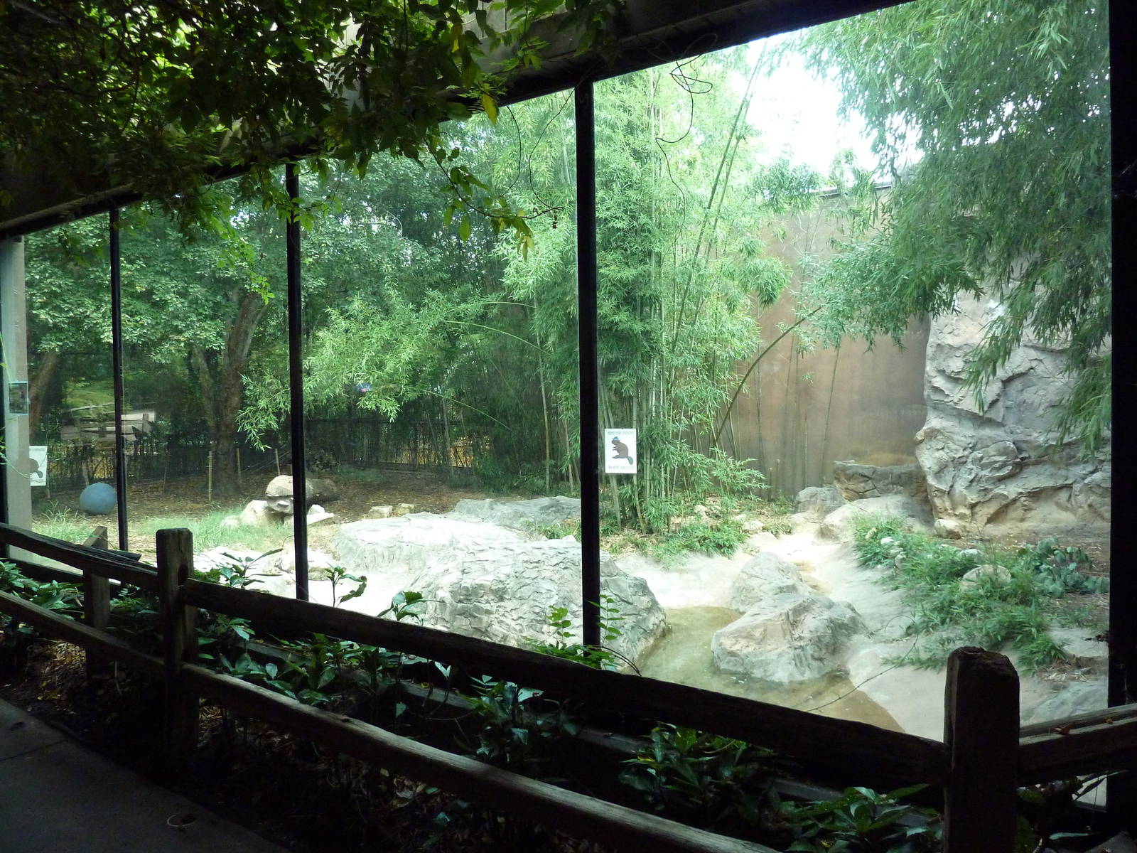 Predators Building - Beaver Exhibit