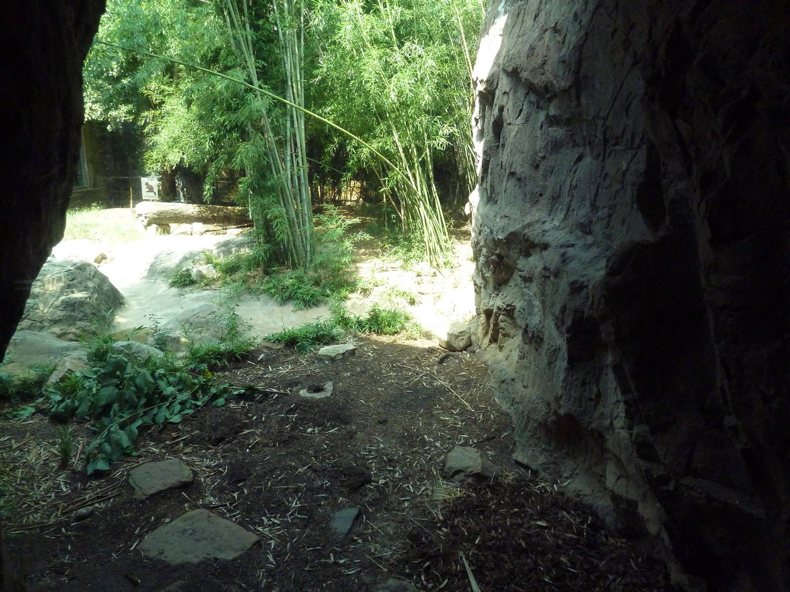 Predators Building - Beaver Exhibit