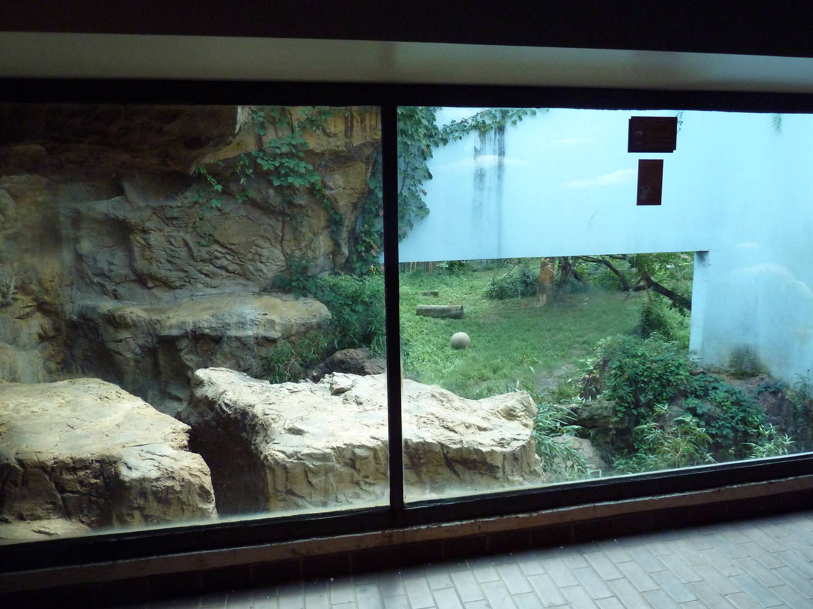 Predators Building - Indochinese Tiger Exhibit