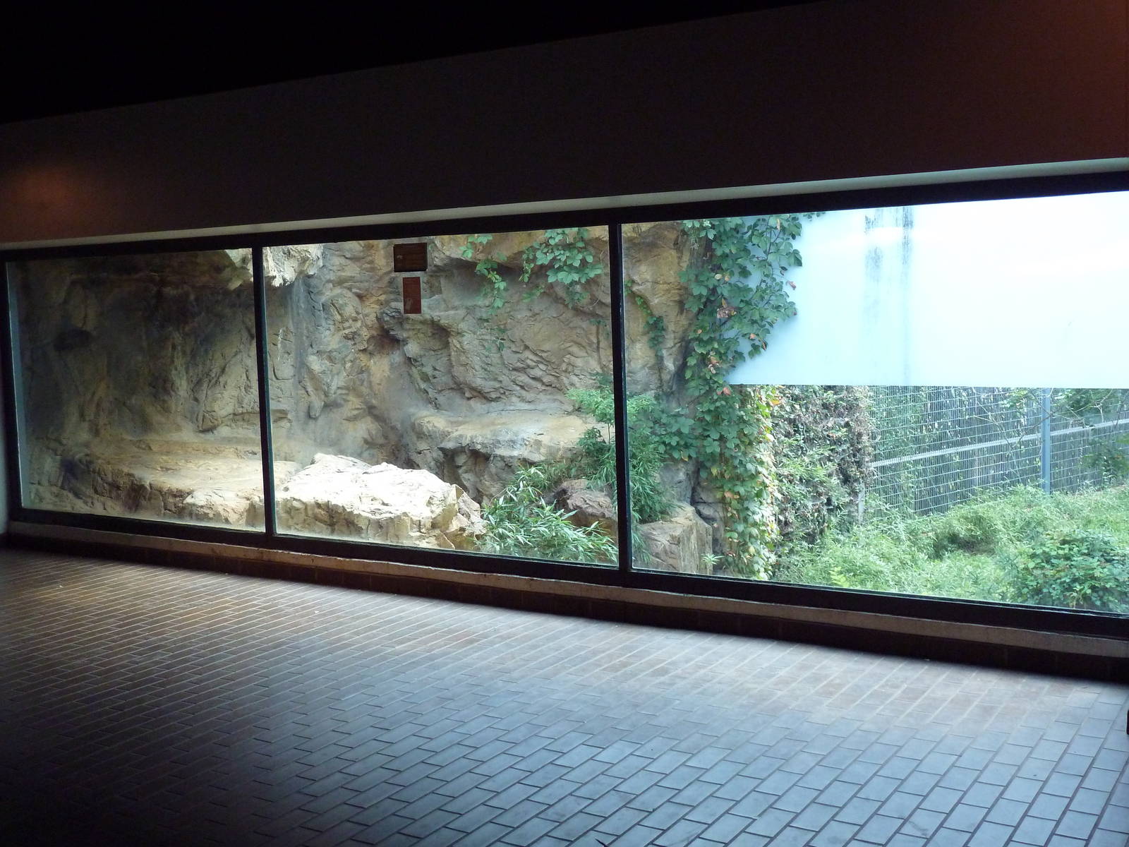 Predators Building - Indochinese Tiger Exhibit