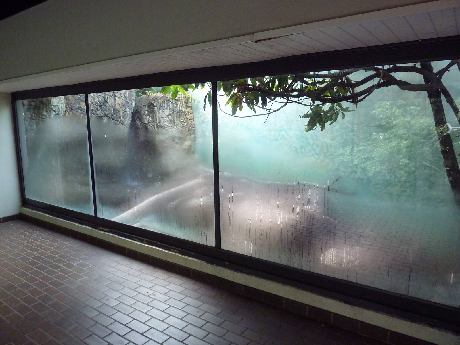 Predators Building - Small-Clawed Otter Exhibit