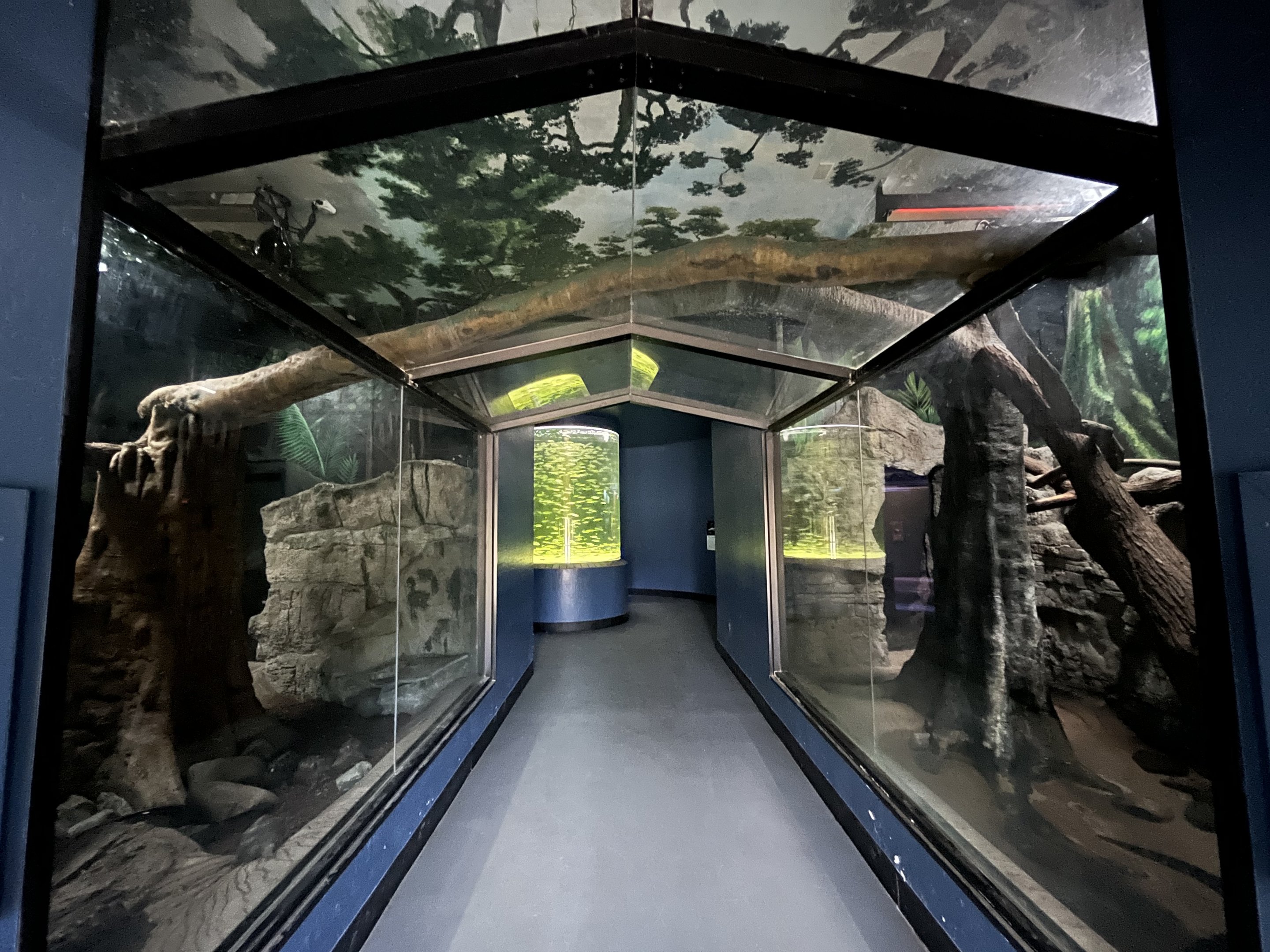 Predators Building - unsigned tanks