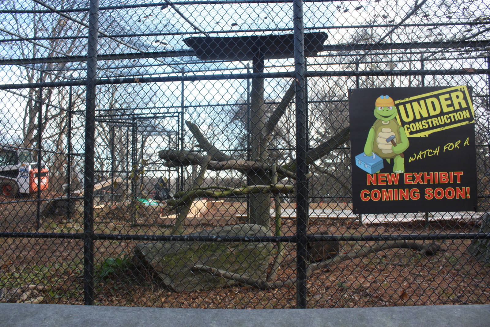 Predators- Exhibit Construction