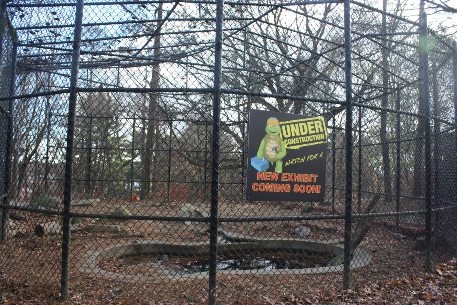 Predators- Exhibit Construction