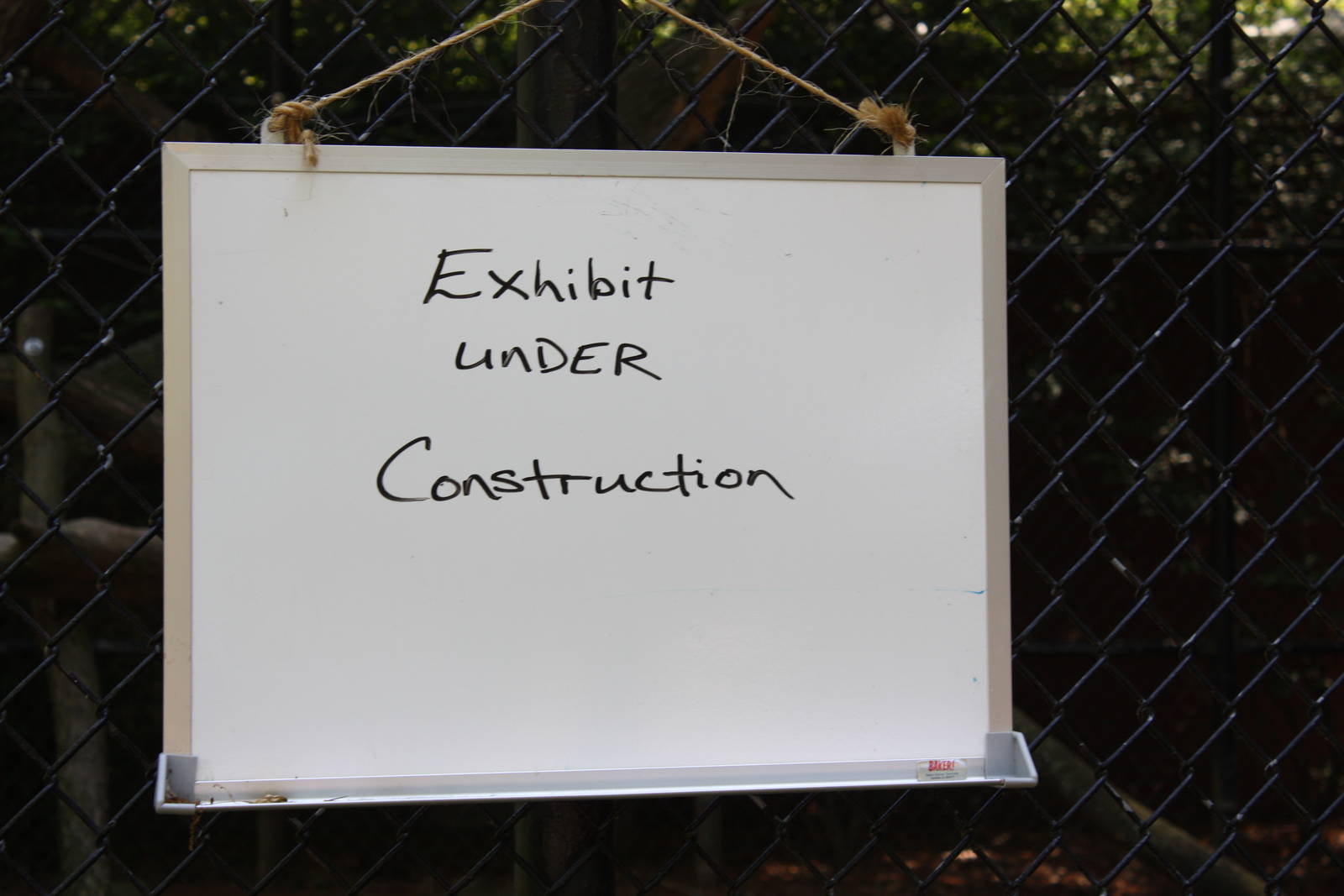 Predators- Former Andean Bear Exhibit