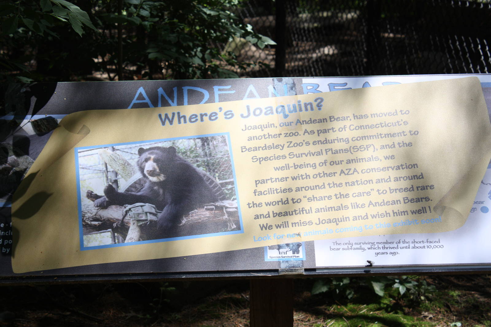 Predators- Goodbye Joaquin