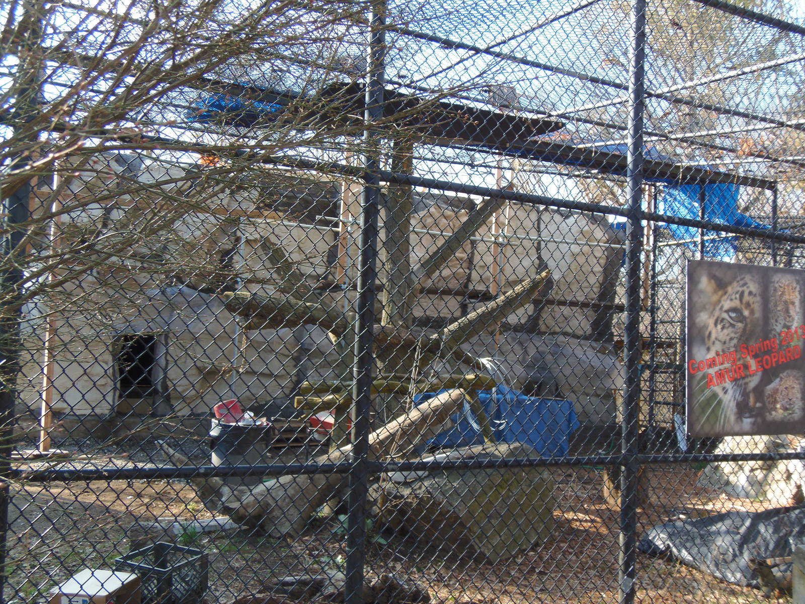 Predators- New Holding Building for Leopard