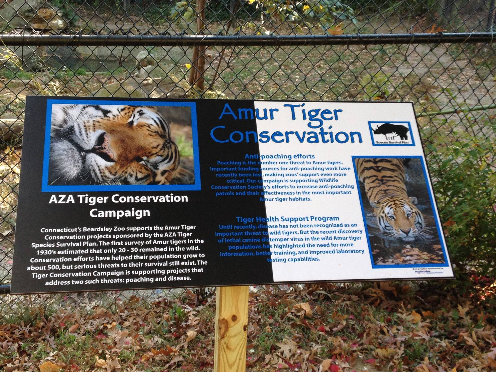 Predators- New Tiger Conservation Sign