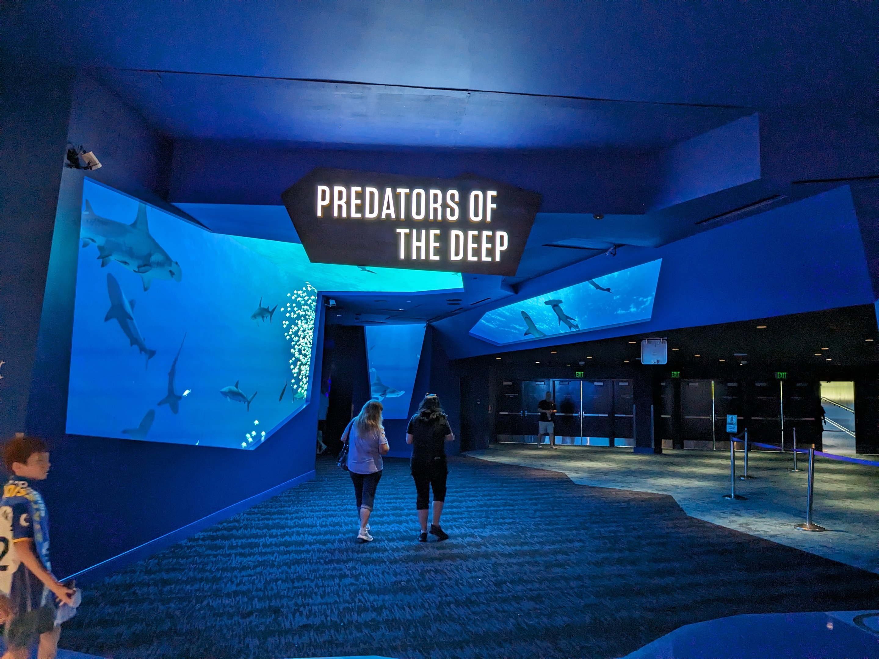 Predators of the Deep - Entrance