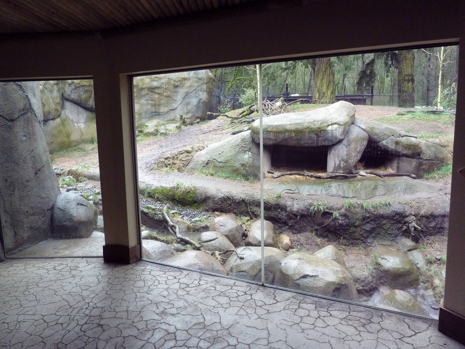 Predators Of The Serengeti - African Wild Dog Exhibit