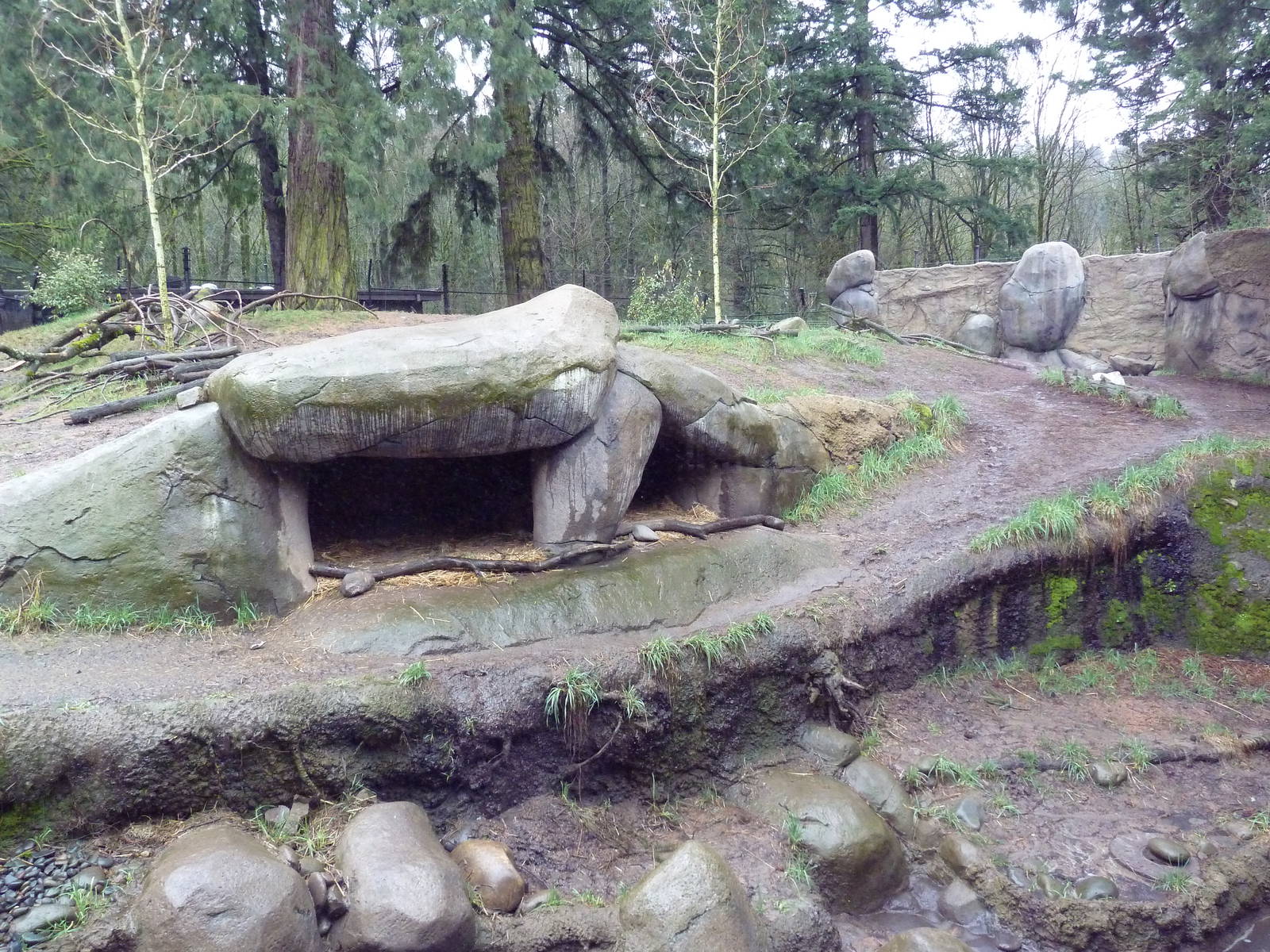 Predators Of The Serengeti - African Wild Dog Exhibit