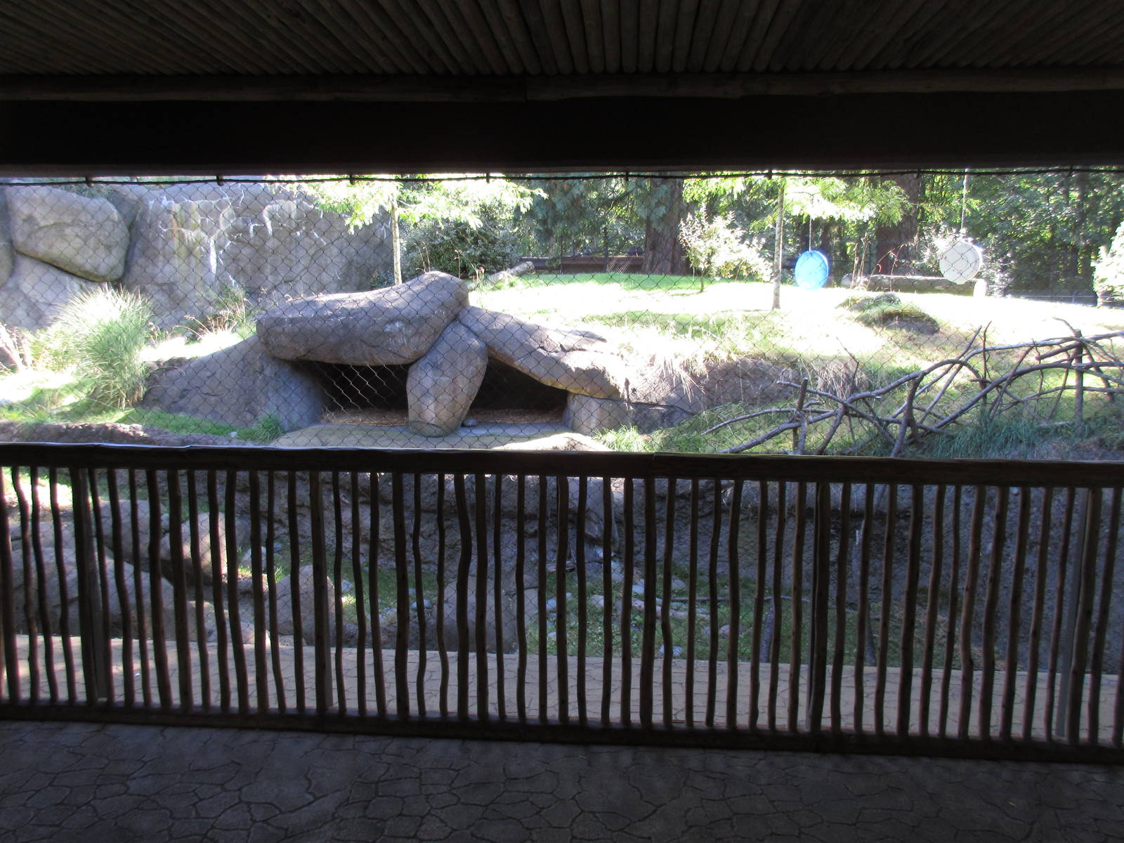 Predators of the Serengeti - African Wild Dog Exhibit