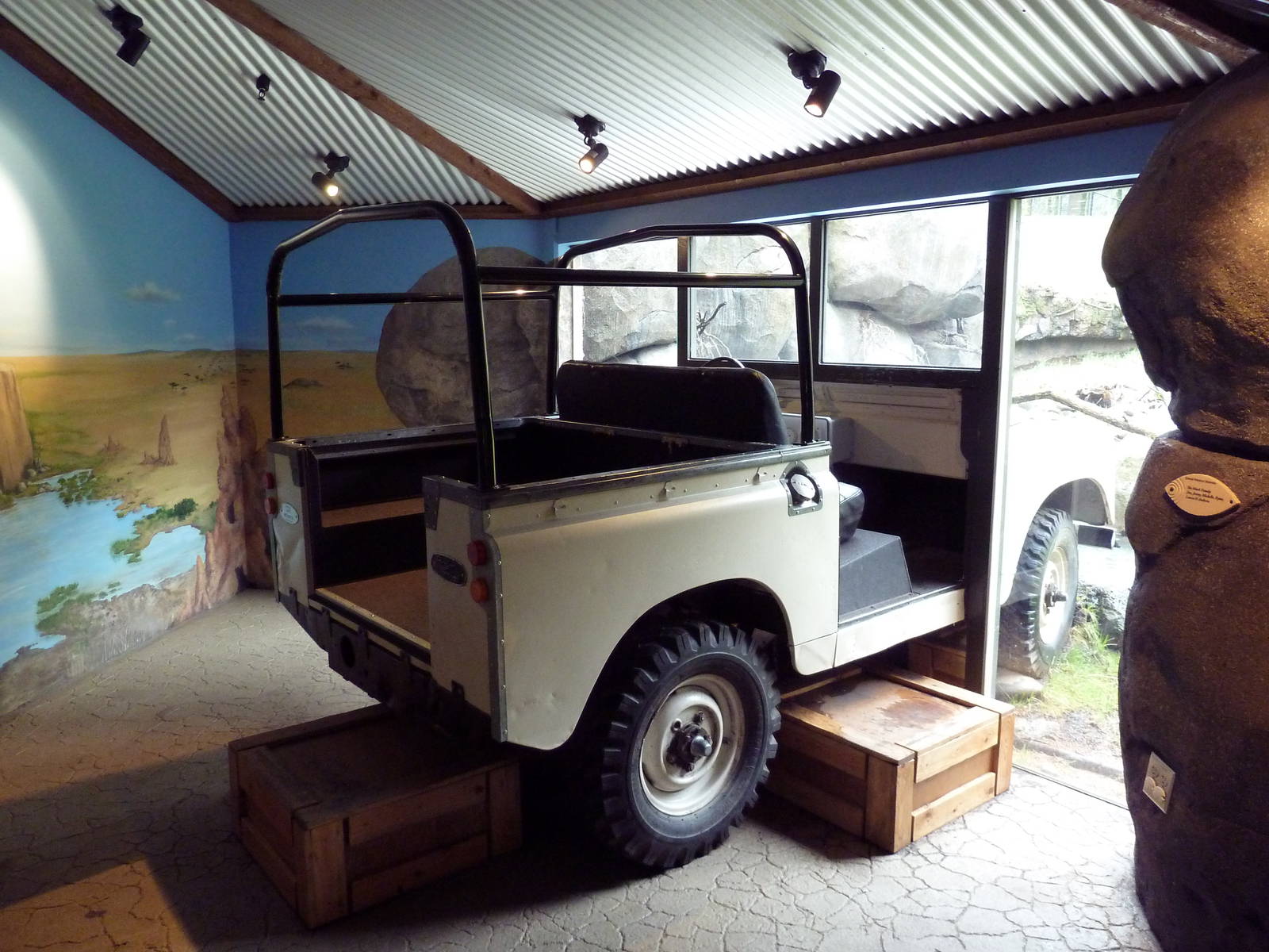 Predators Of The Serengeti - Cheetah Exhibit