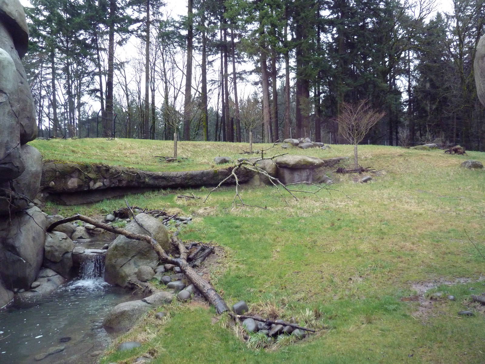 Predators Of The Serengeti - Cheetah Exhibit