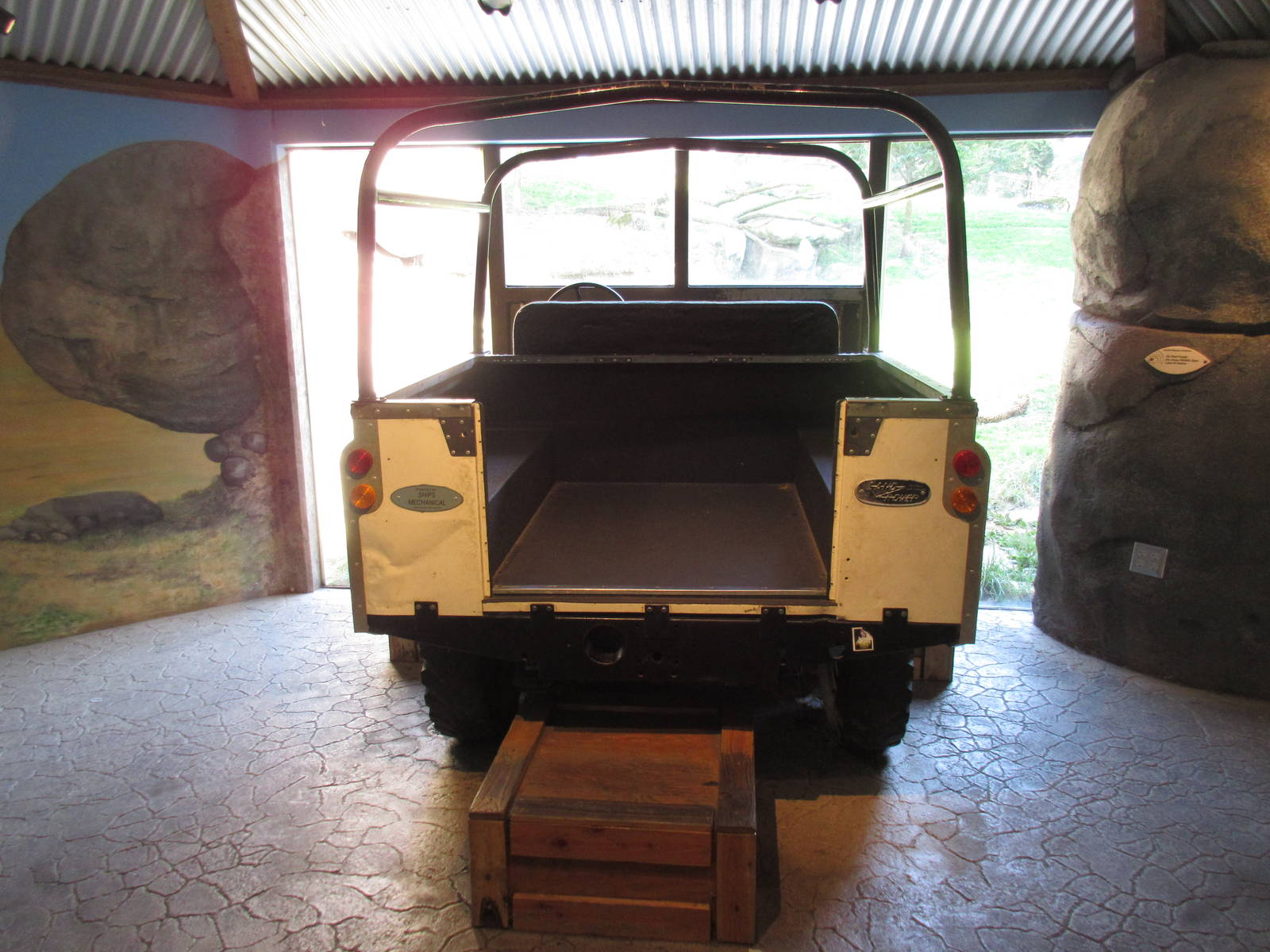 Predators of the Serengeti - Cheetah Exhibit