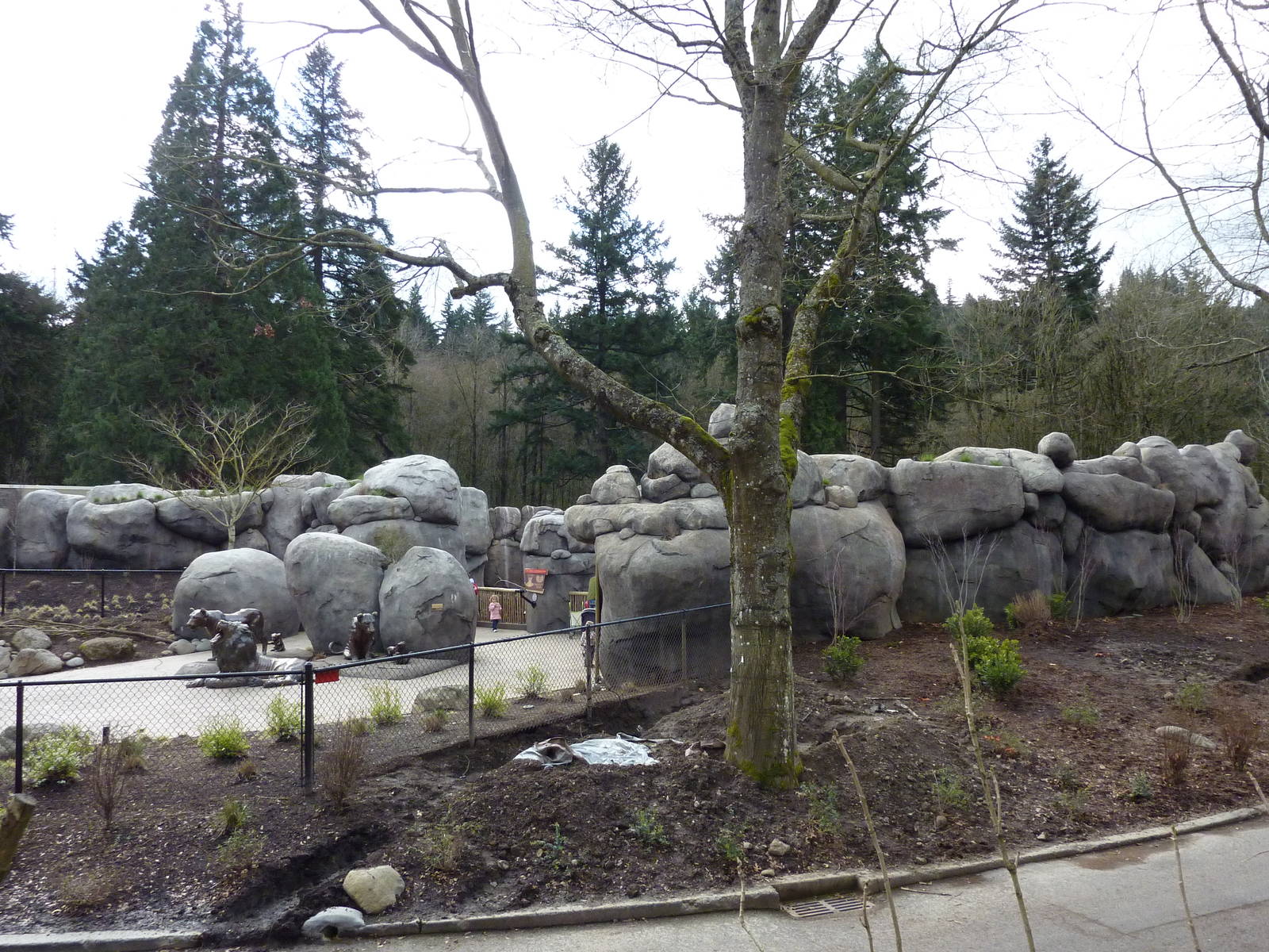 Predators of the Serengeti - Entrance