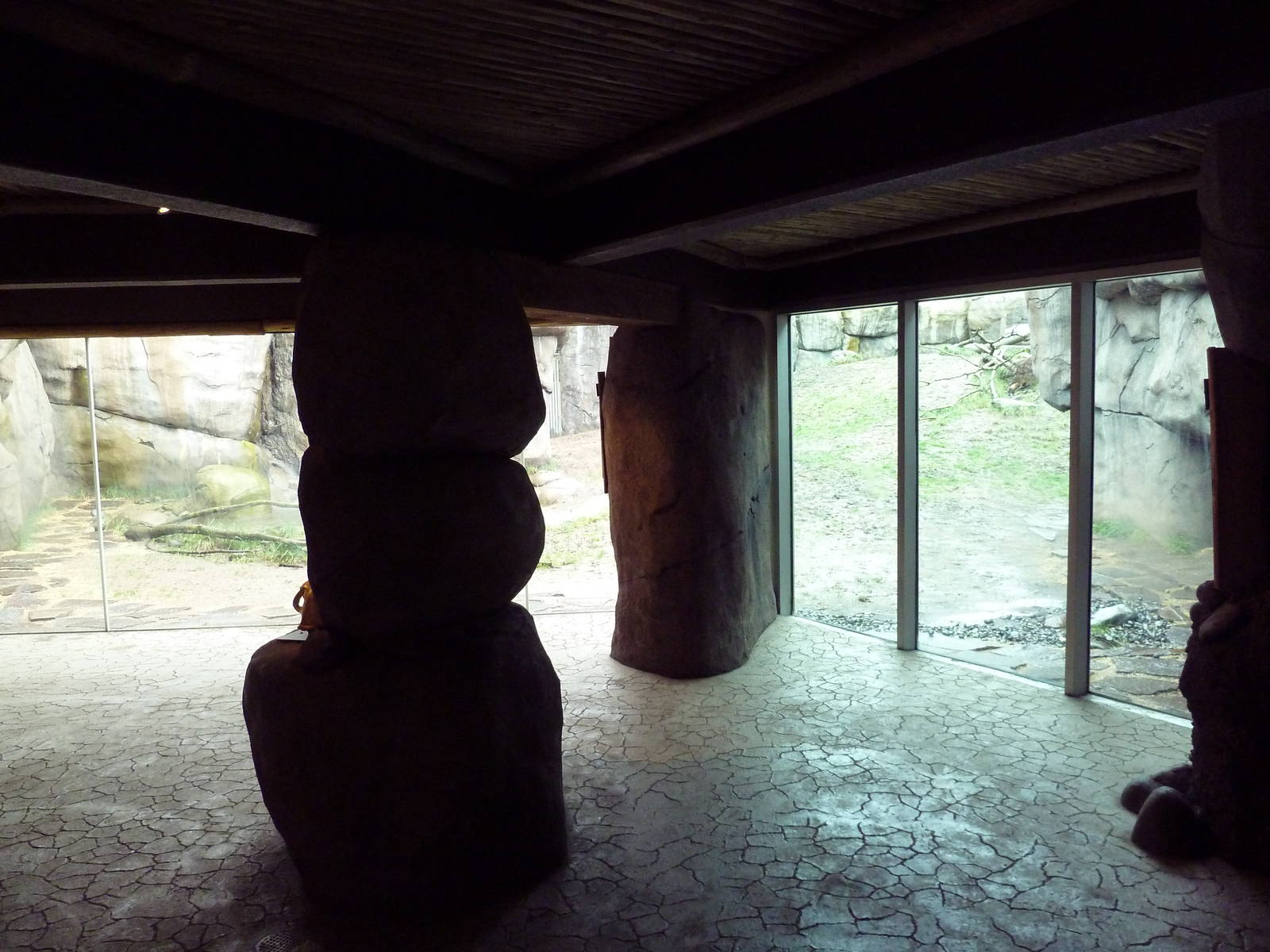 Predators Of The Serengeti - Lion Exhibit