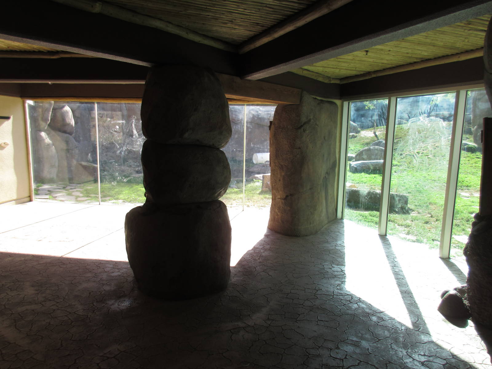 Predators of the Serengeti - Lion Exhibit