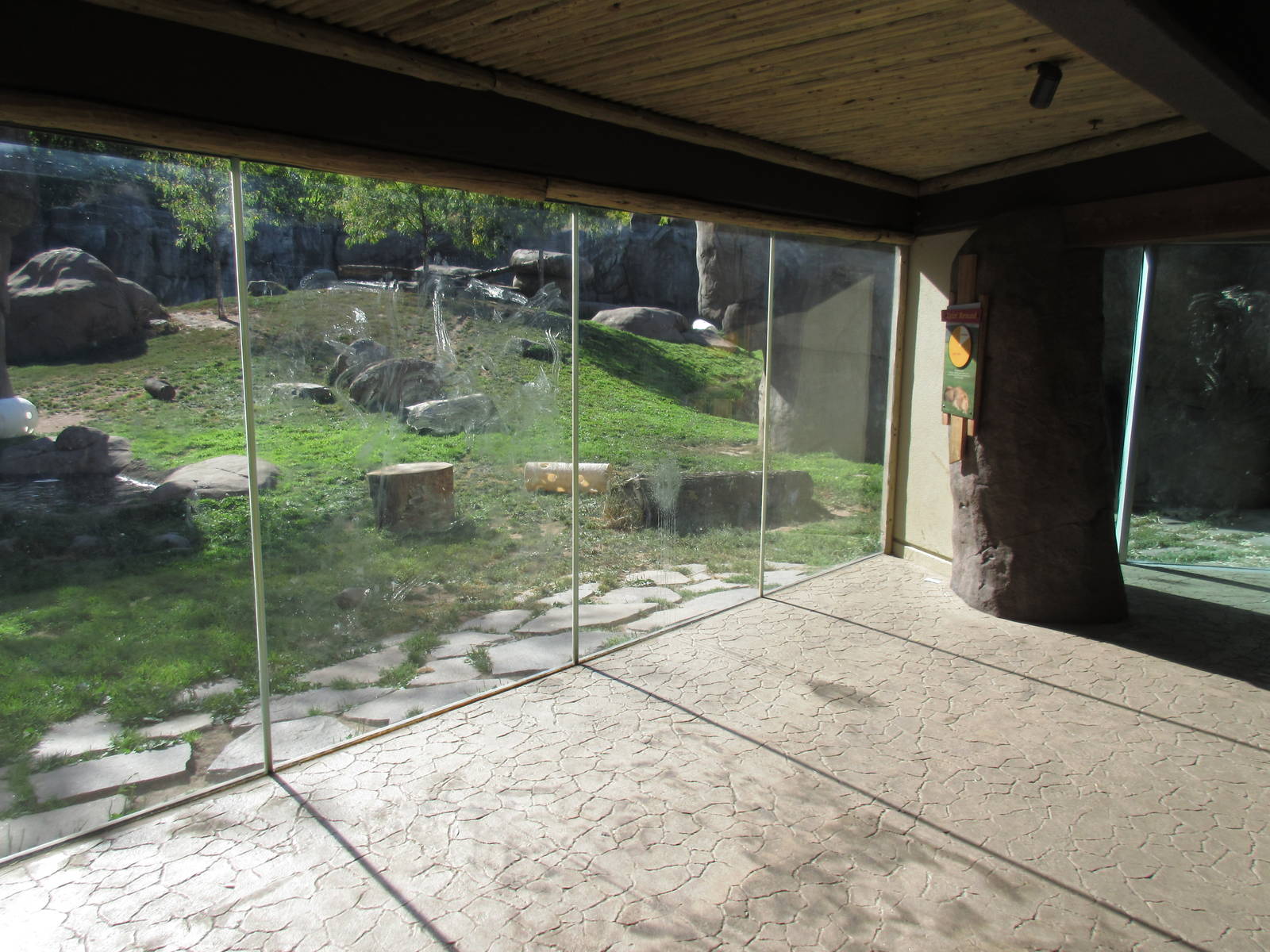 Predators of the Serengeti - Lion Exhibit