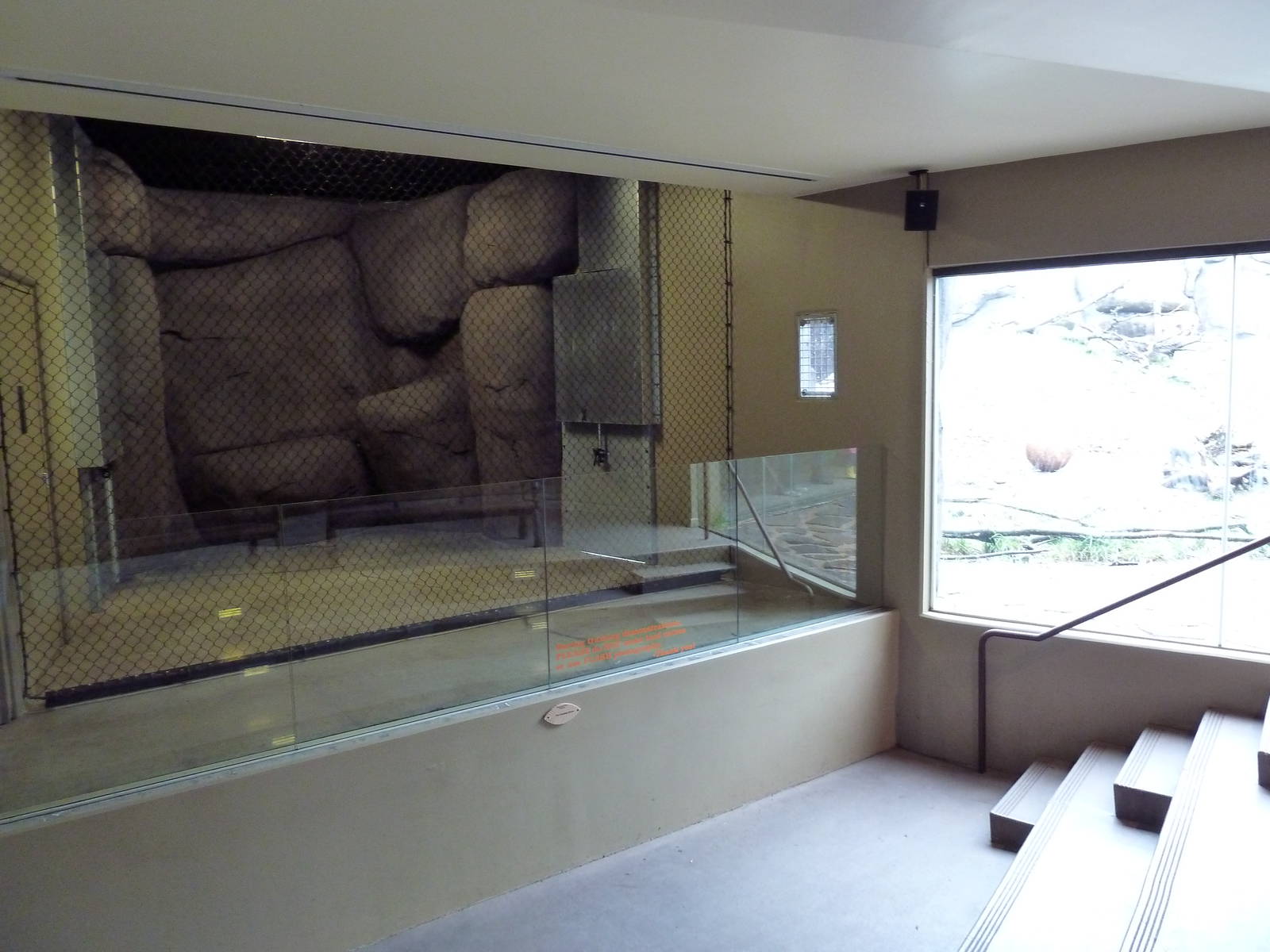 Predators Of The Serengeti - Presentation Area