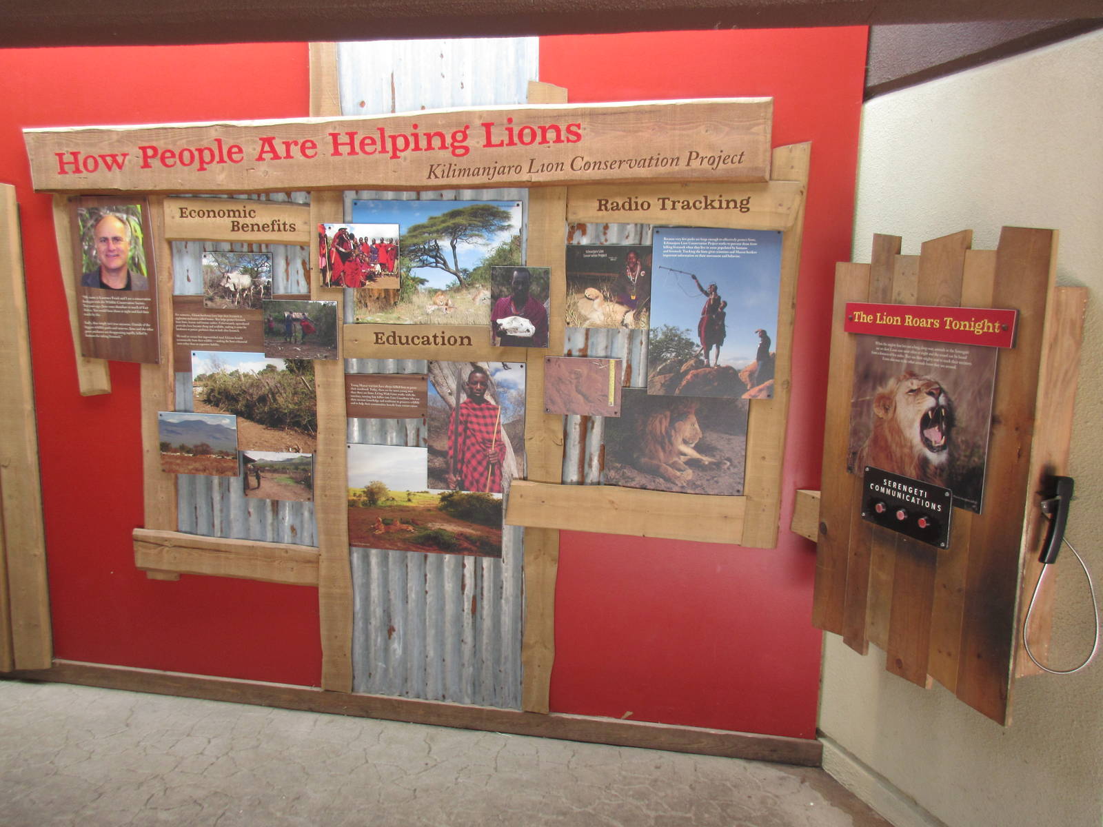 Predators of the Serengeti