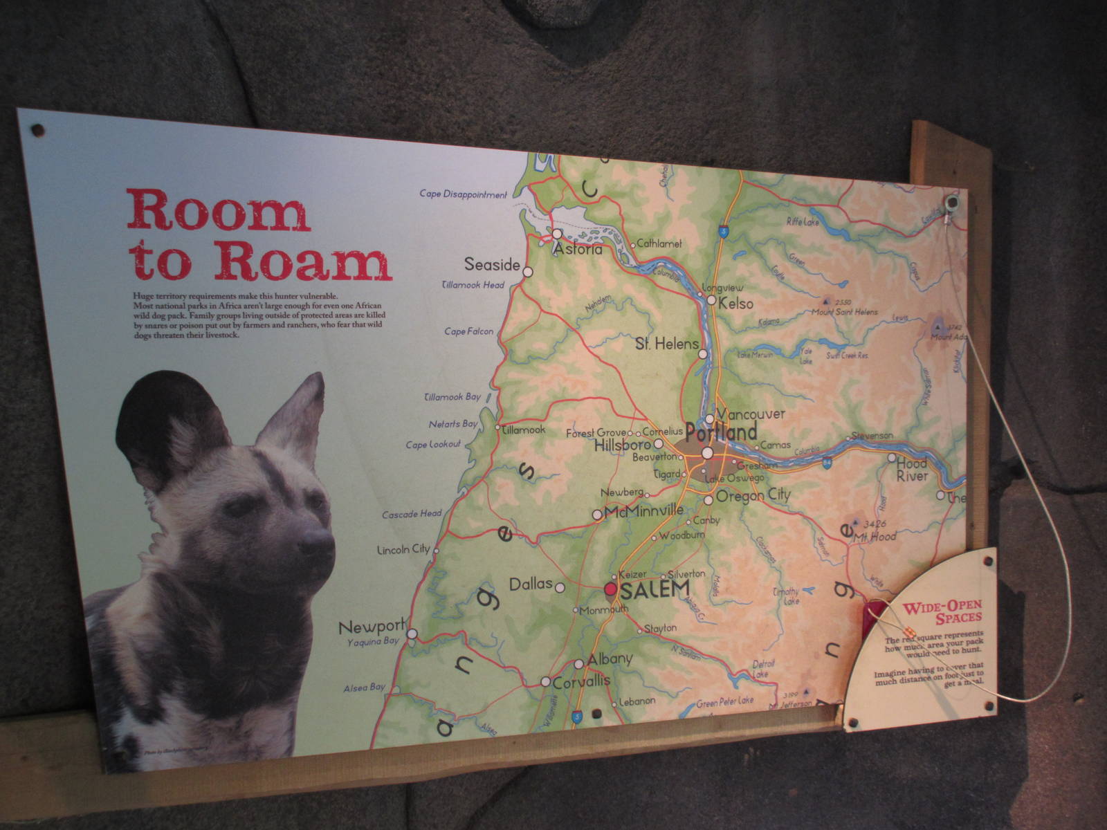 Predators of the Serengeti