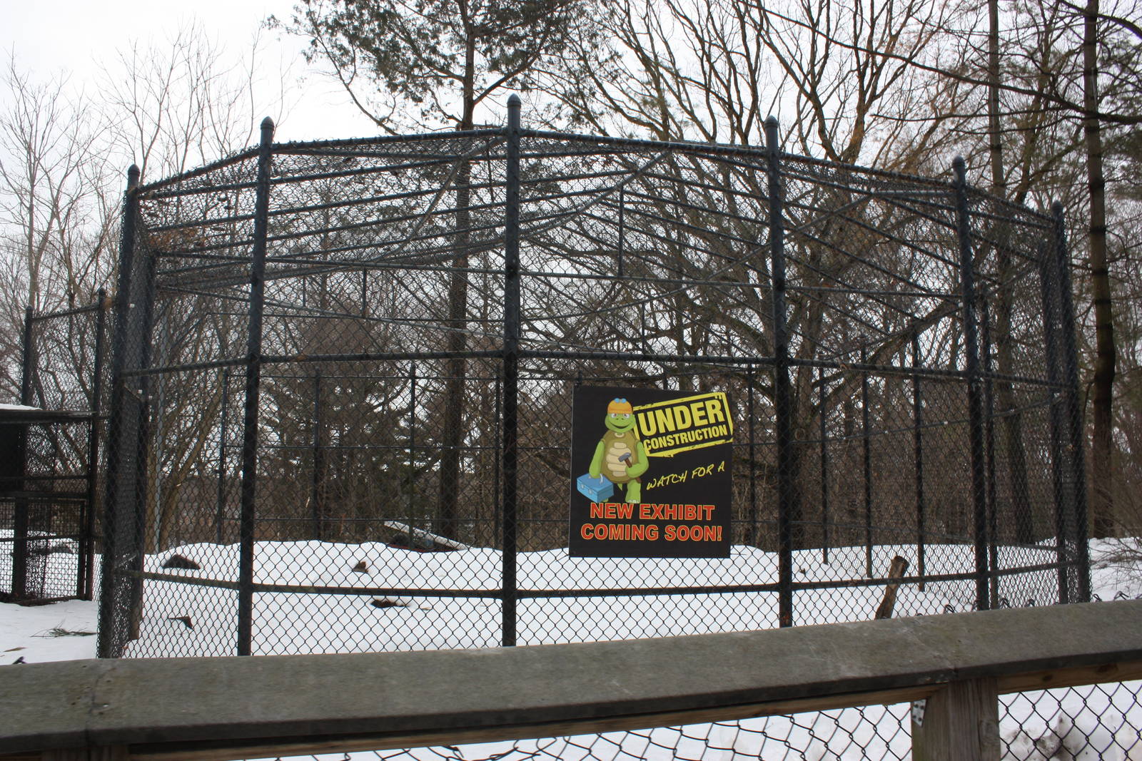 Predators- Upcoming Amur Leopard Exhibit