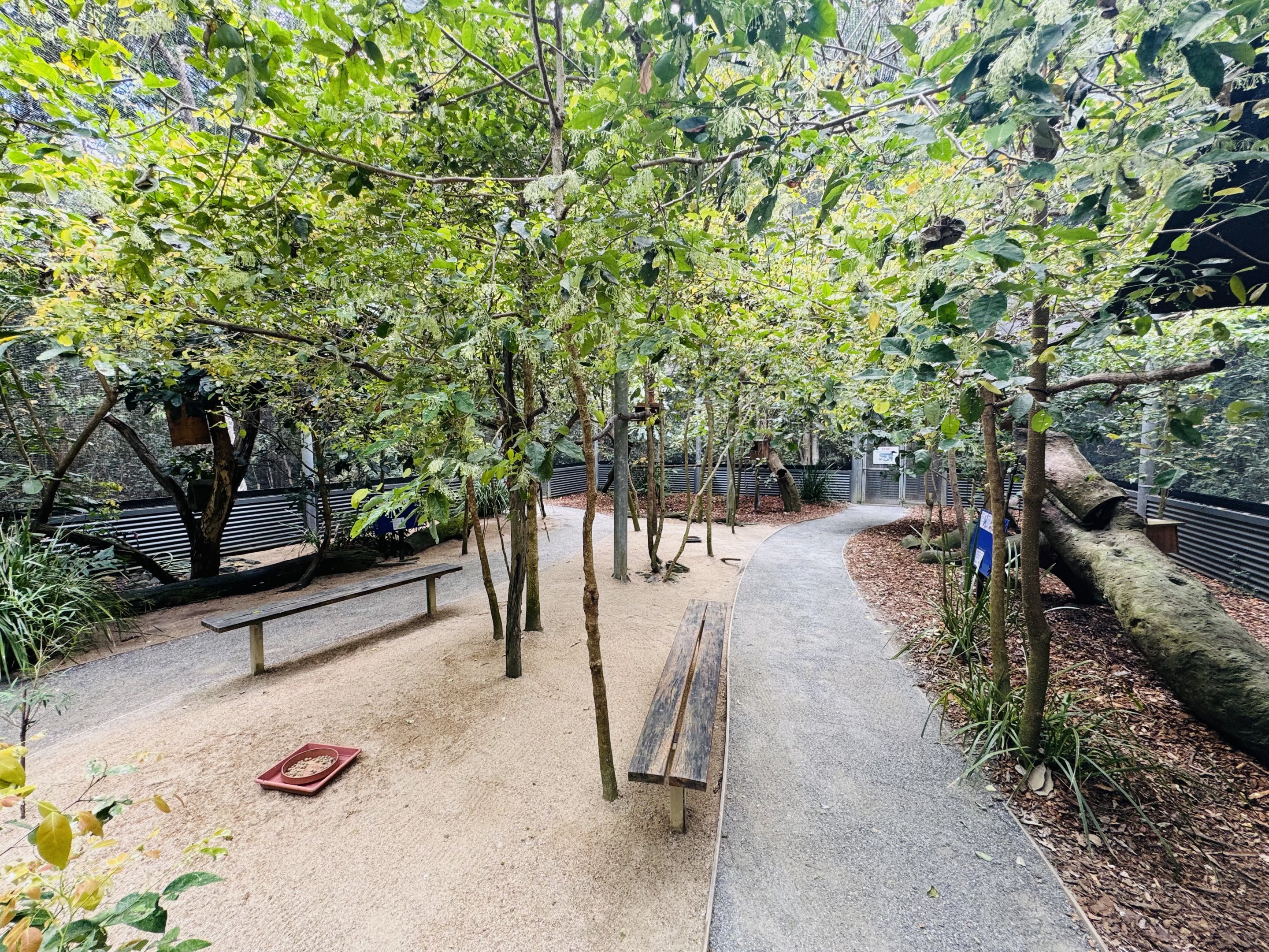 Predatory bird aviary