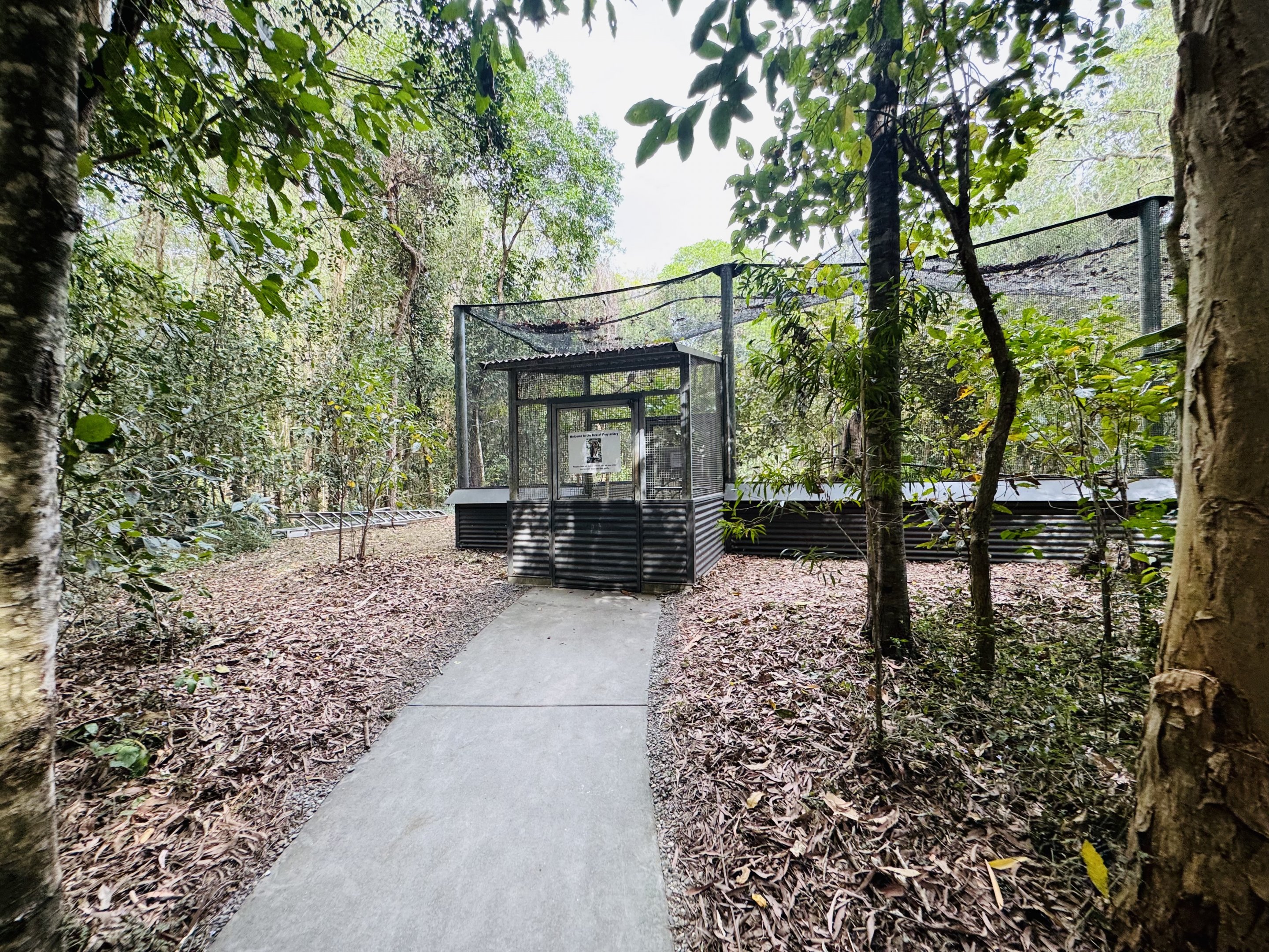 Predatory bird aviary